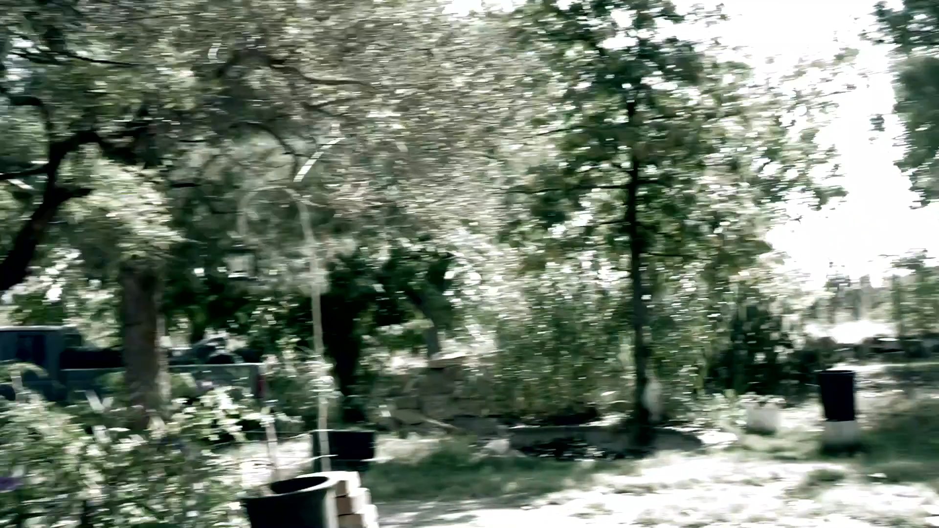 A panoramic perspective of a lush backyard garden transitions to a close-up portrait of a man with a beard standing outdoors.
