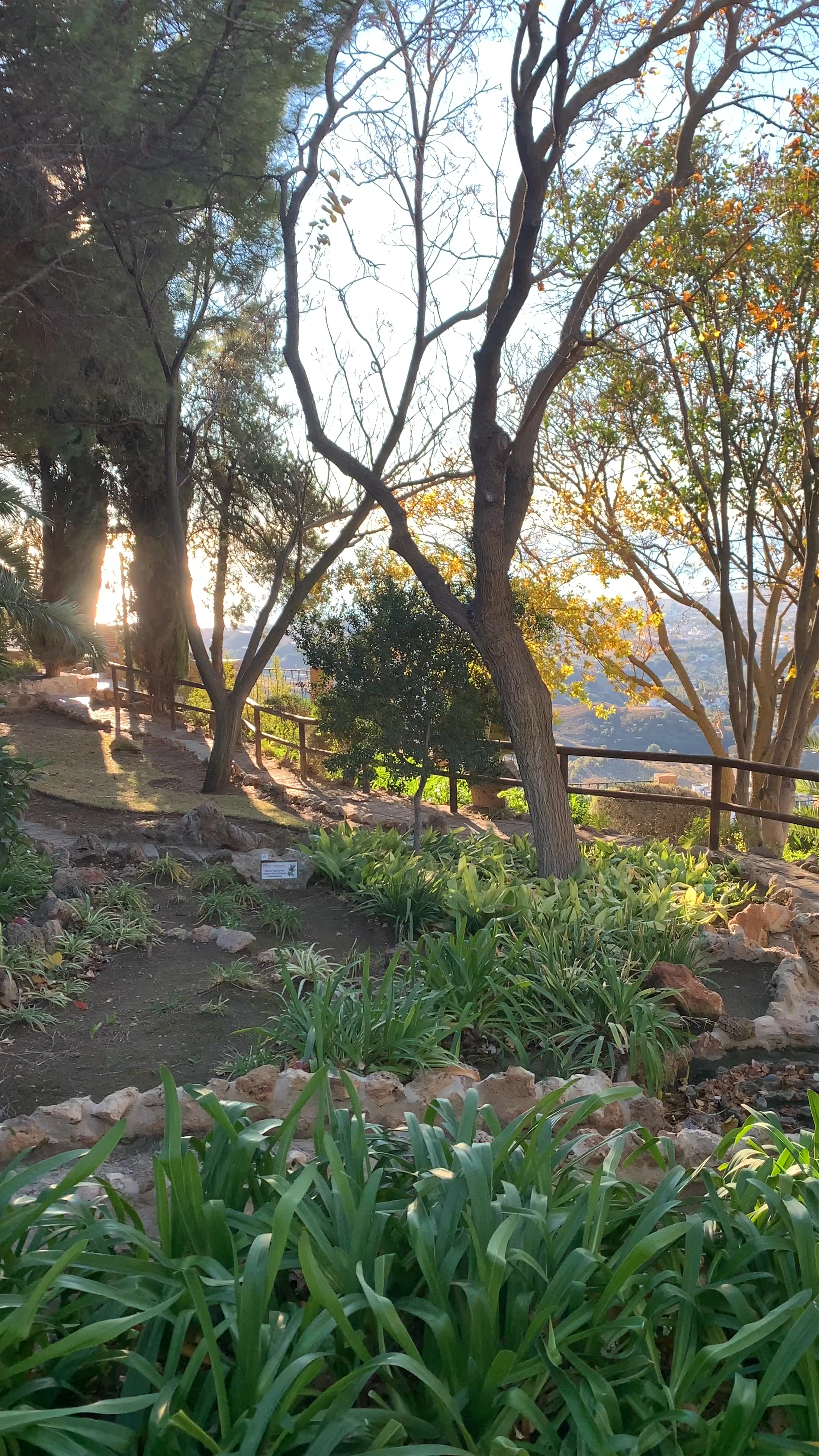Strolling Through Parque La Muralla: A Serene Garden Walk in Mijas, Spain