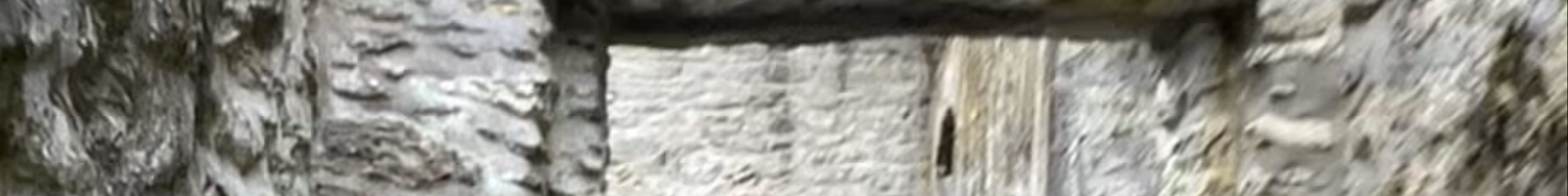 Tours & experiences in Ireland