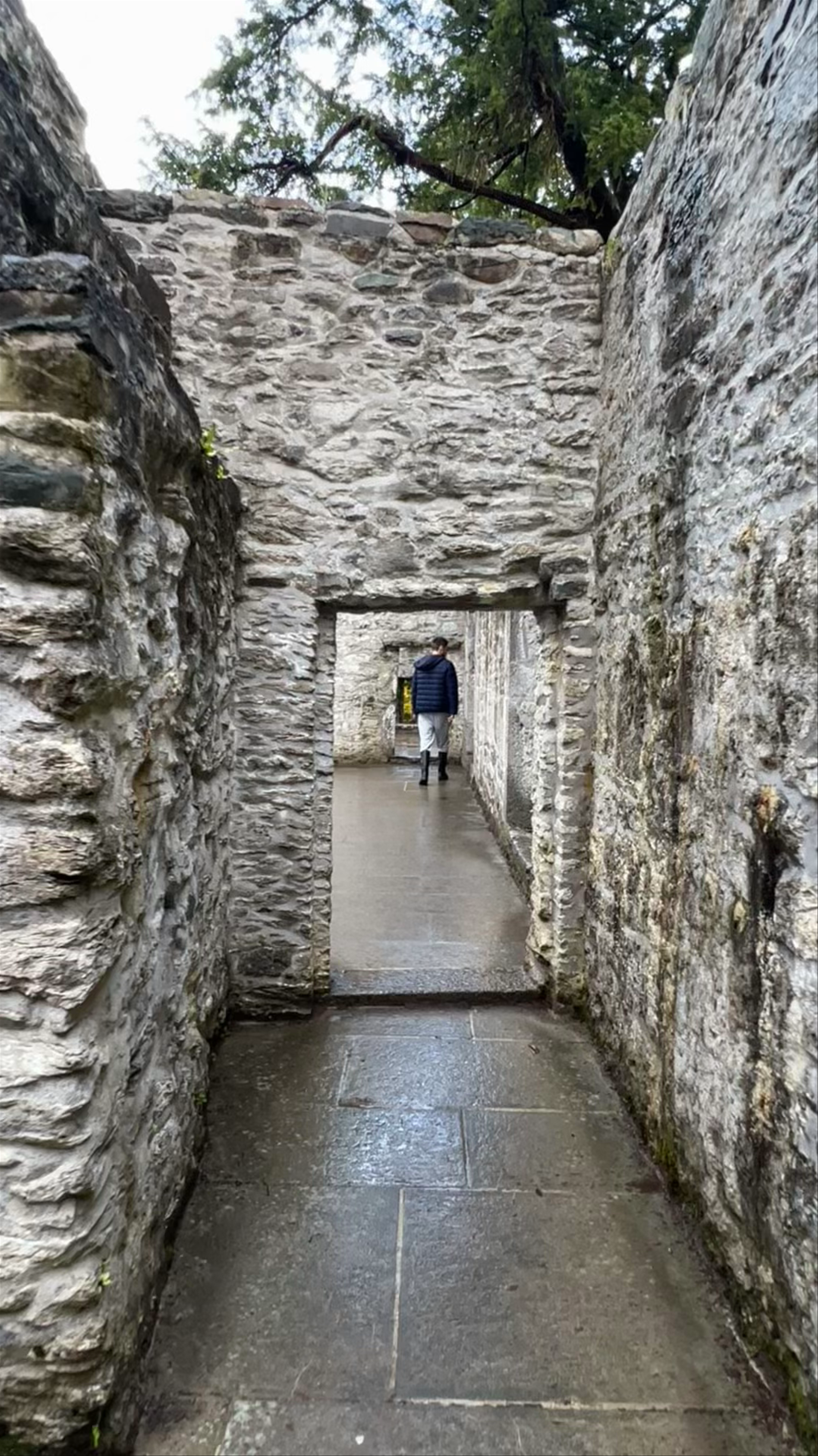 Muckross Abbey: Step Into Medieval Serenity in County Kerry