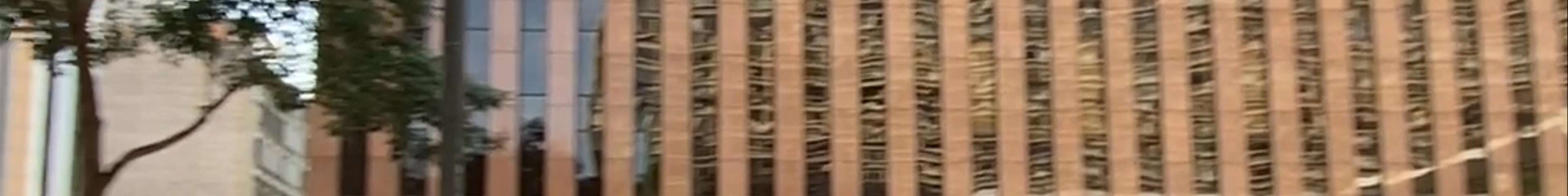 Tours & experiences in São Paulo