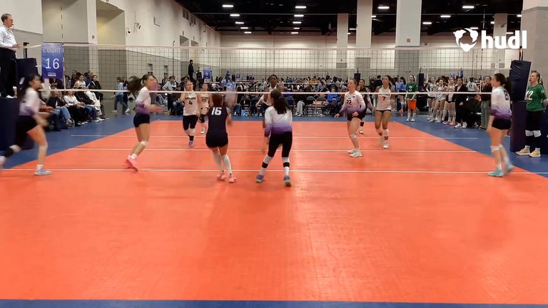 Cailey Allen's Volleyball Recruiting Profile | FieldLevel