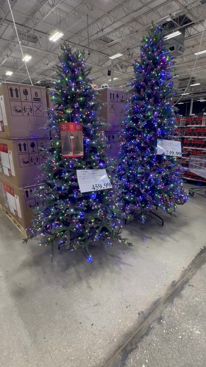 Costco - Wholesalers Near Me - Davie, Florida