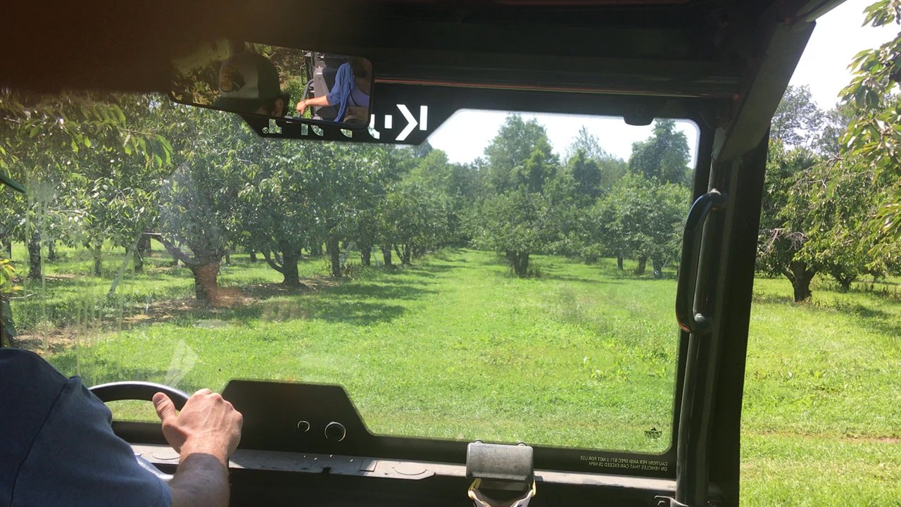 Schutt's Apple Mill - Fruits & Veggies Near Me - Webster, New York