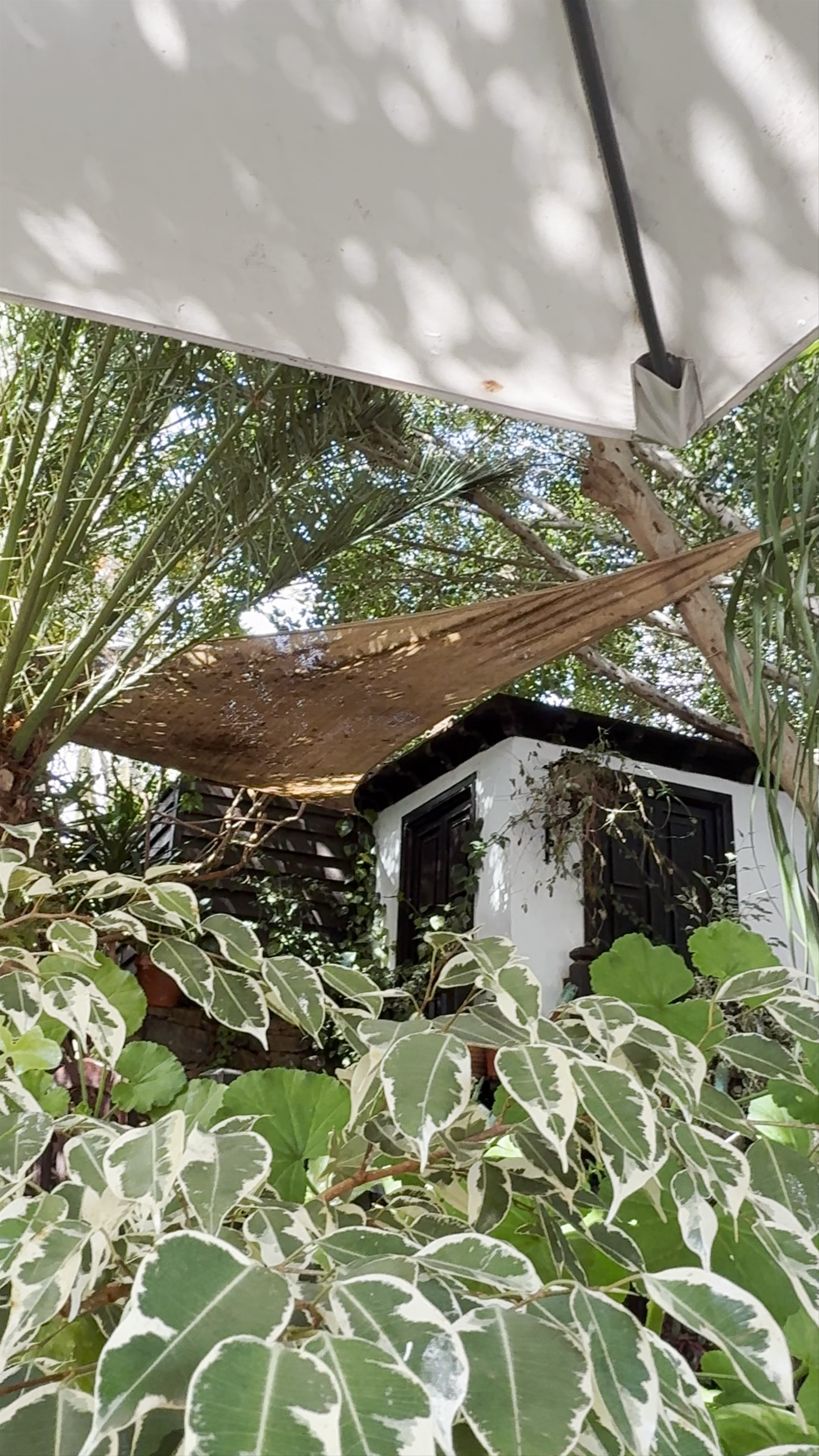 Terrazza Santa Maria