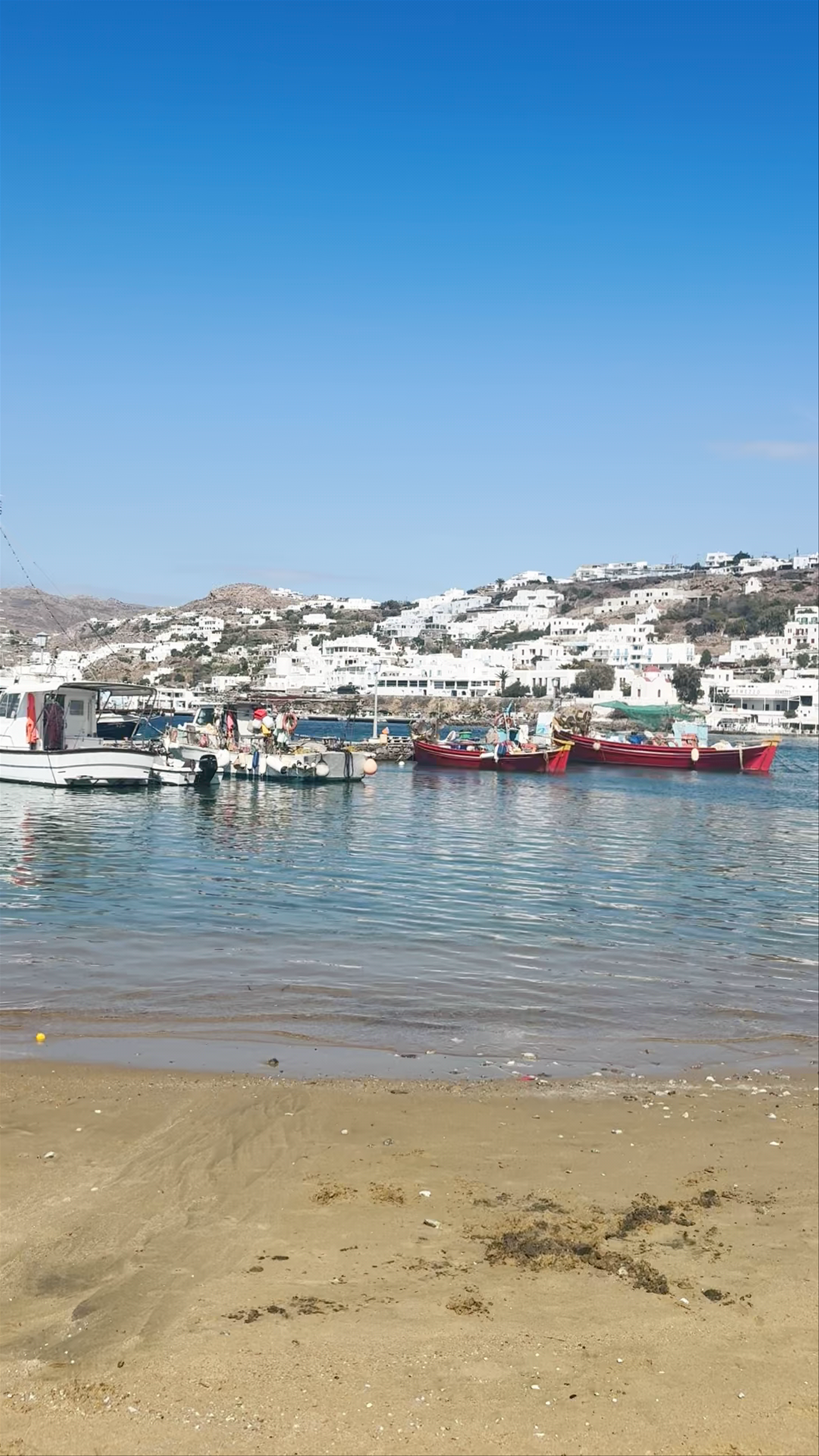 Sea Bus - Mykonos Old Port