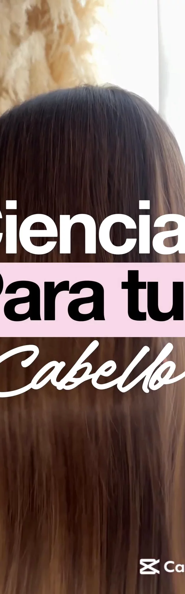Contenido del creador