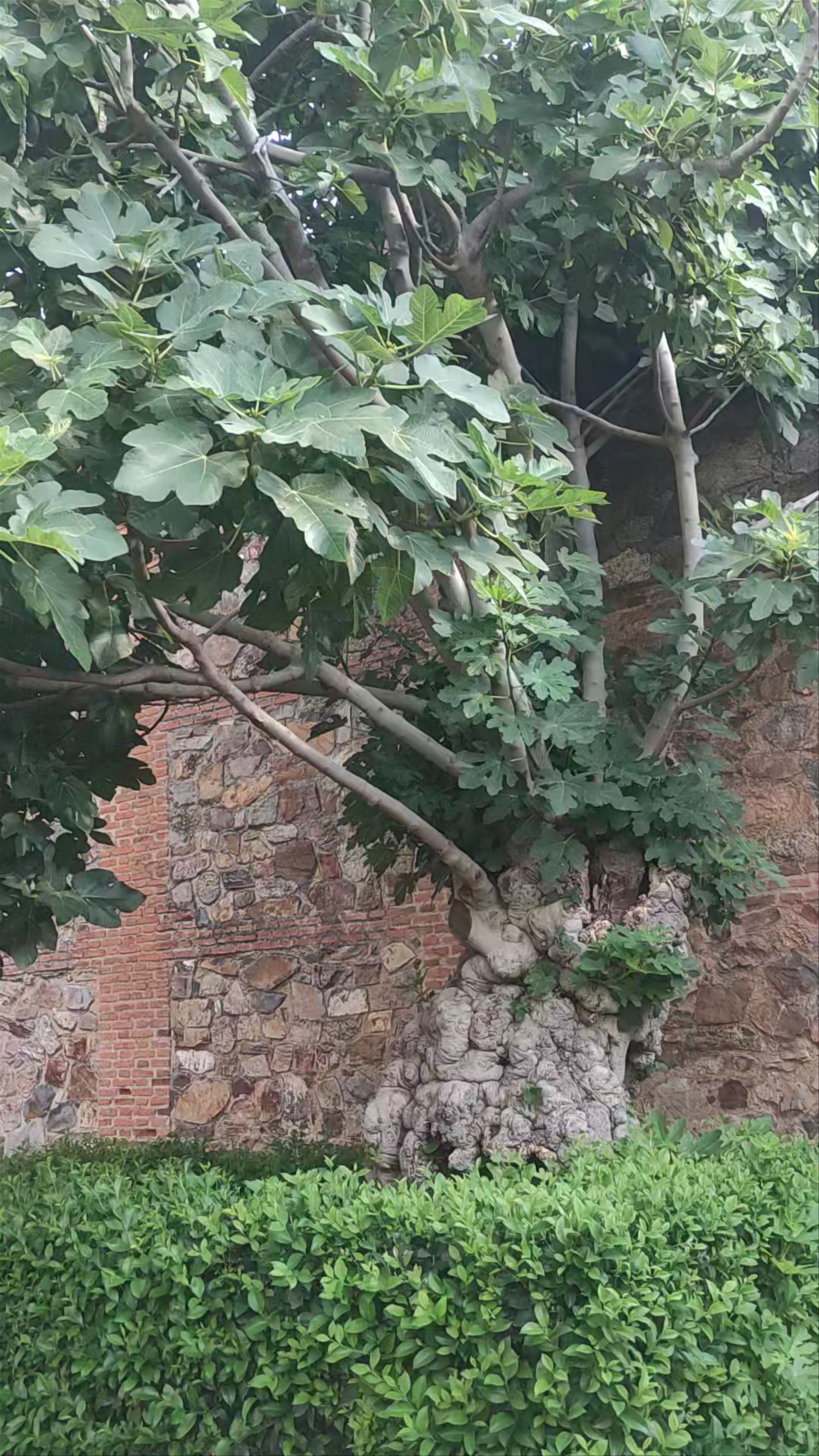 Exploring Palacio de Carvajal: Historic Charm in Cáceres, Spain