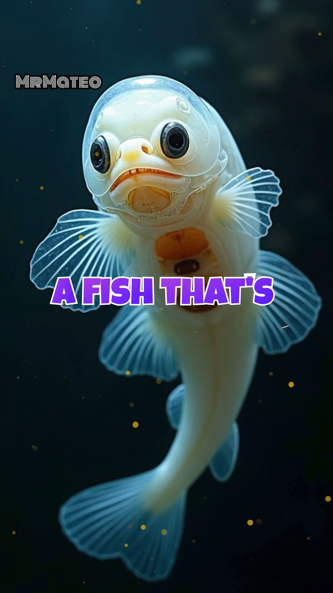 The Strangest Creations of Nature