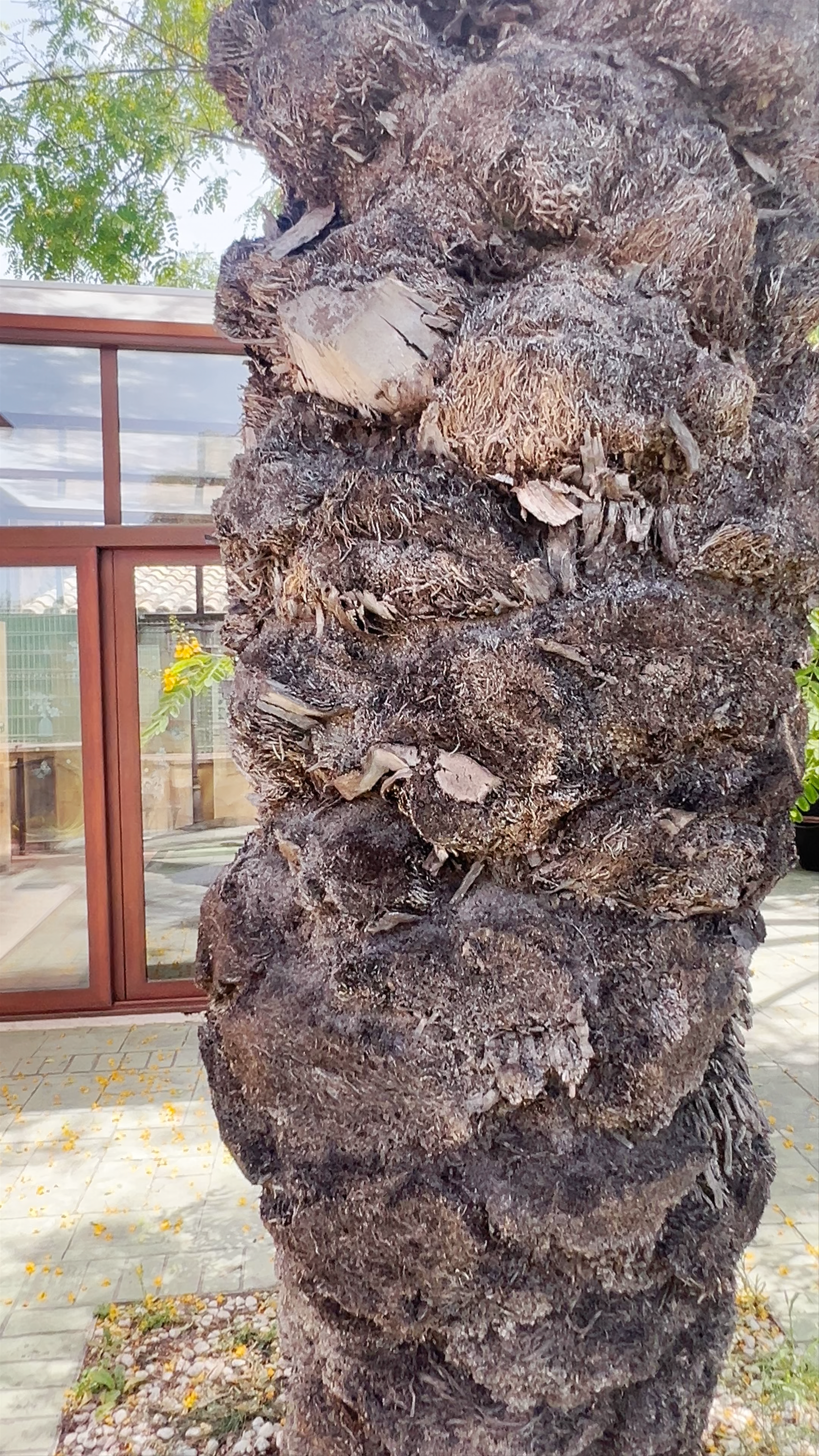 Urban Spa LOHEGA: Tranquil Wellness Escape in Santo Ángel, Spain