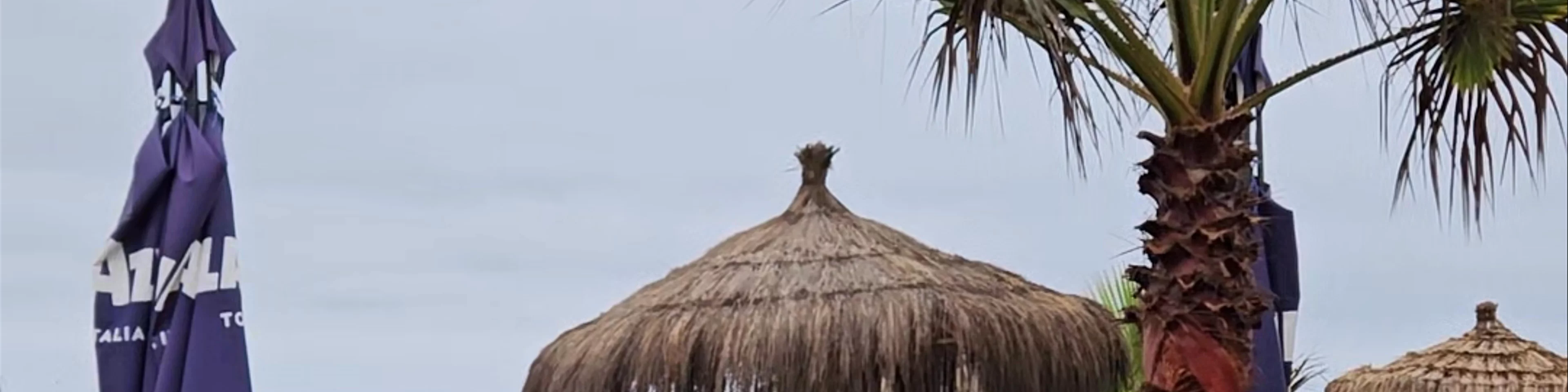 Tololo Beach - Avenida del Mar