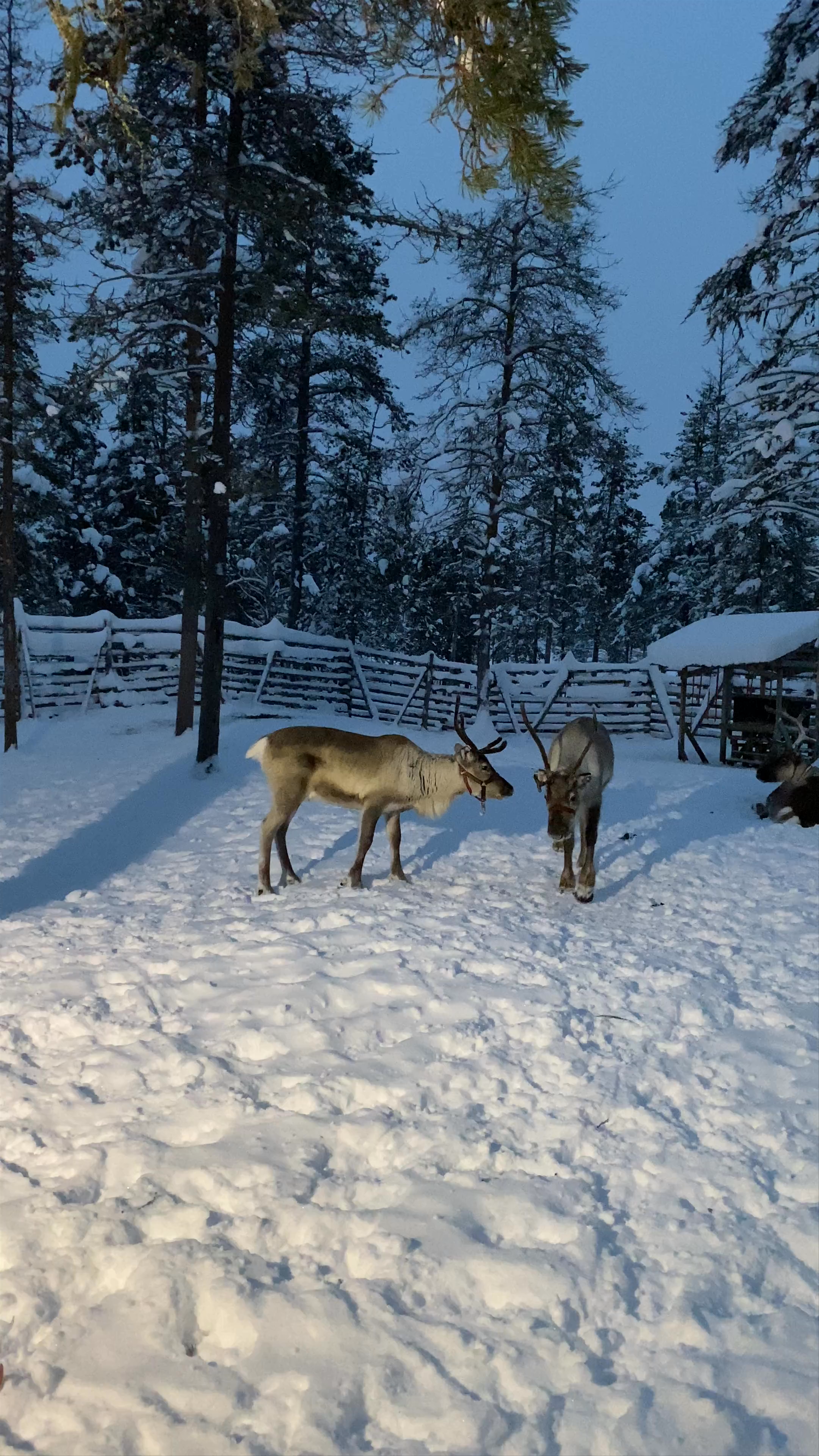 Kakslauttanen Arctic Resort West Village