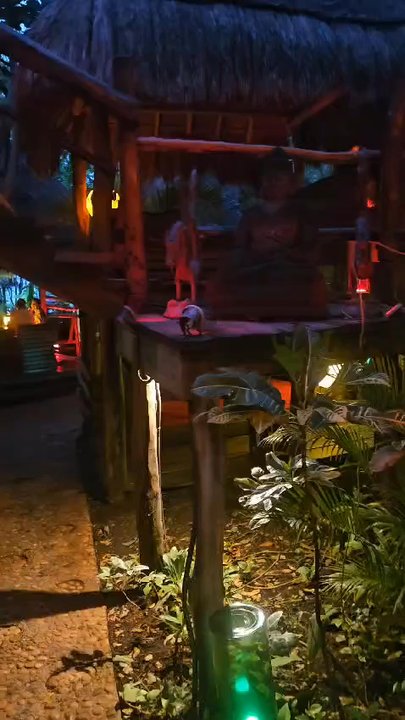 Thai Restaurant - Such a unique & beautiful concept!! - Thai Near Me - Cancún, ROO