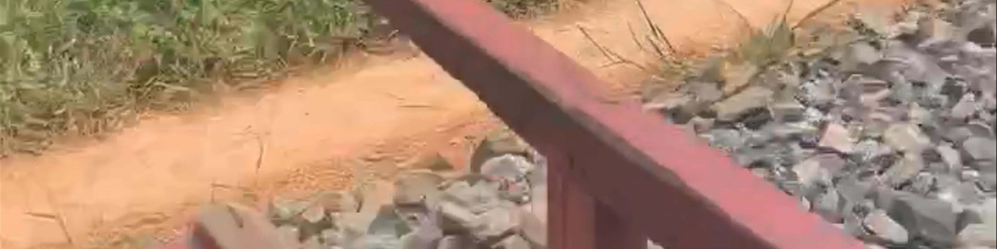 Bamboo Train Battambang