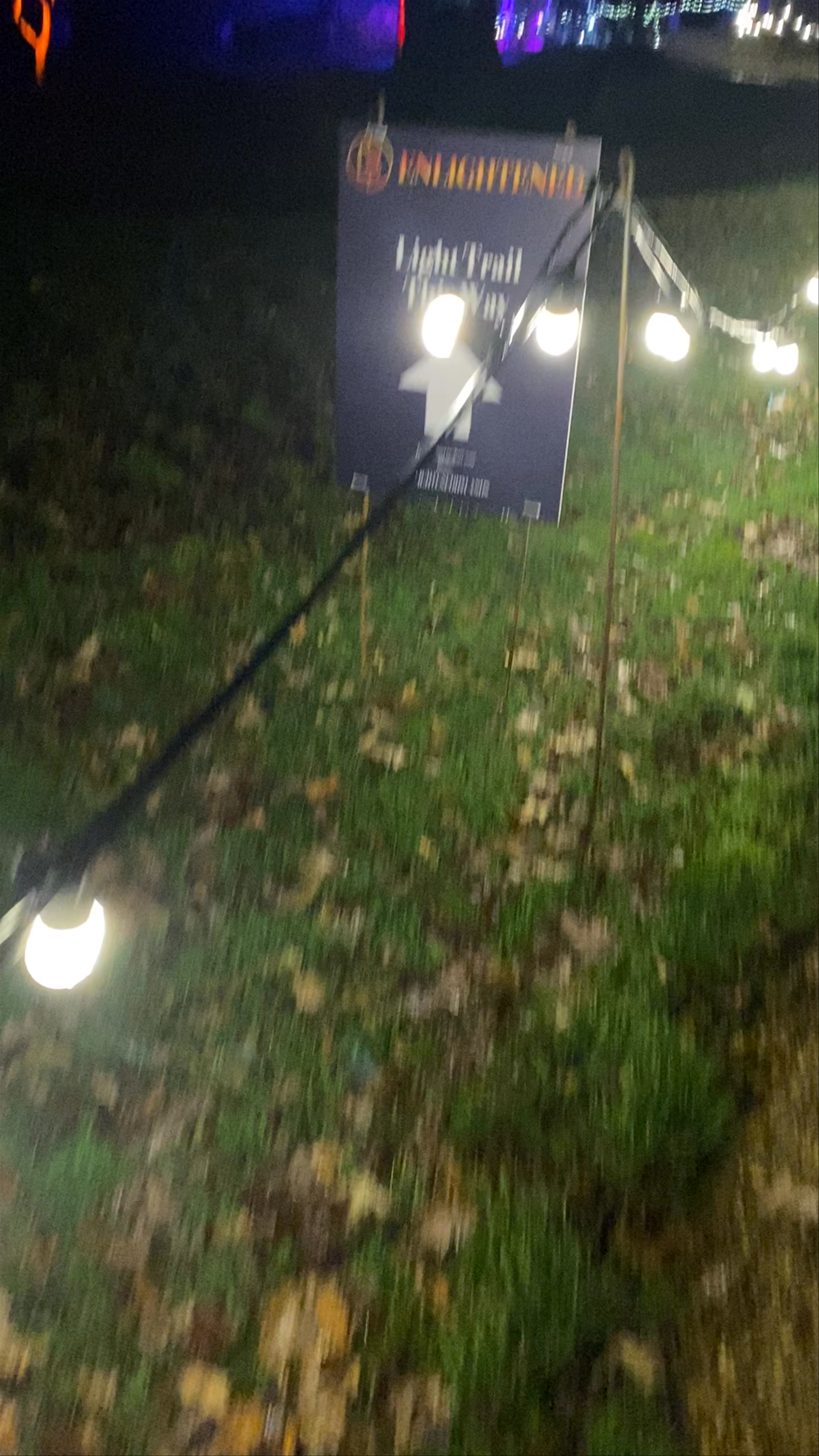 Enlightened Hylands Park