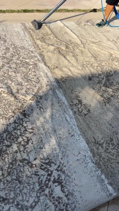 Absolute Green Solutions - Carpet Cleaning Near Me