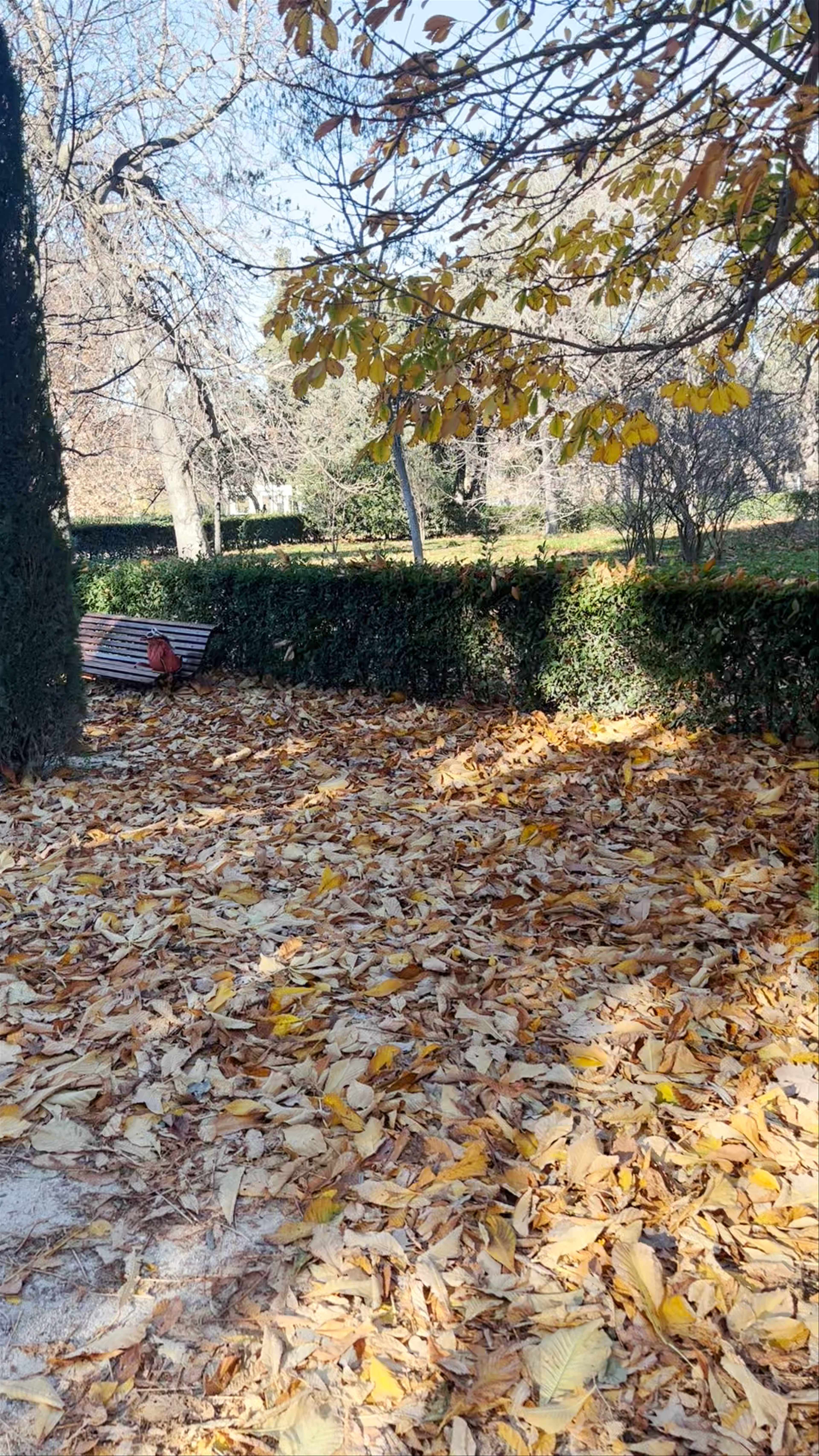 Monumento al General Martínez Campos in El Retiro Park, Madrid