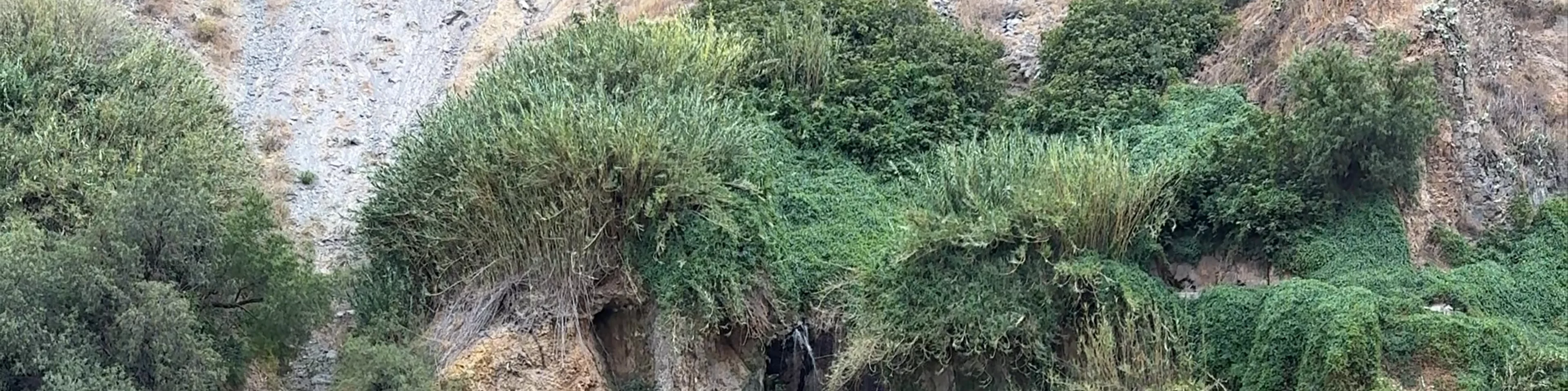 Sangalli