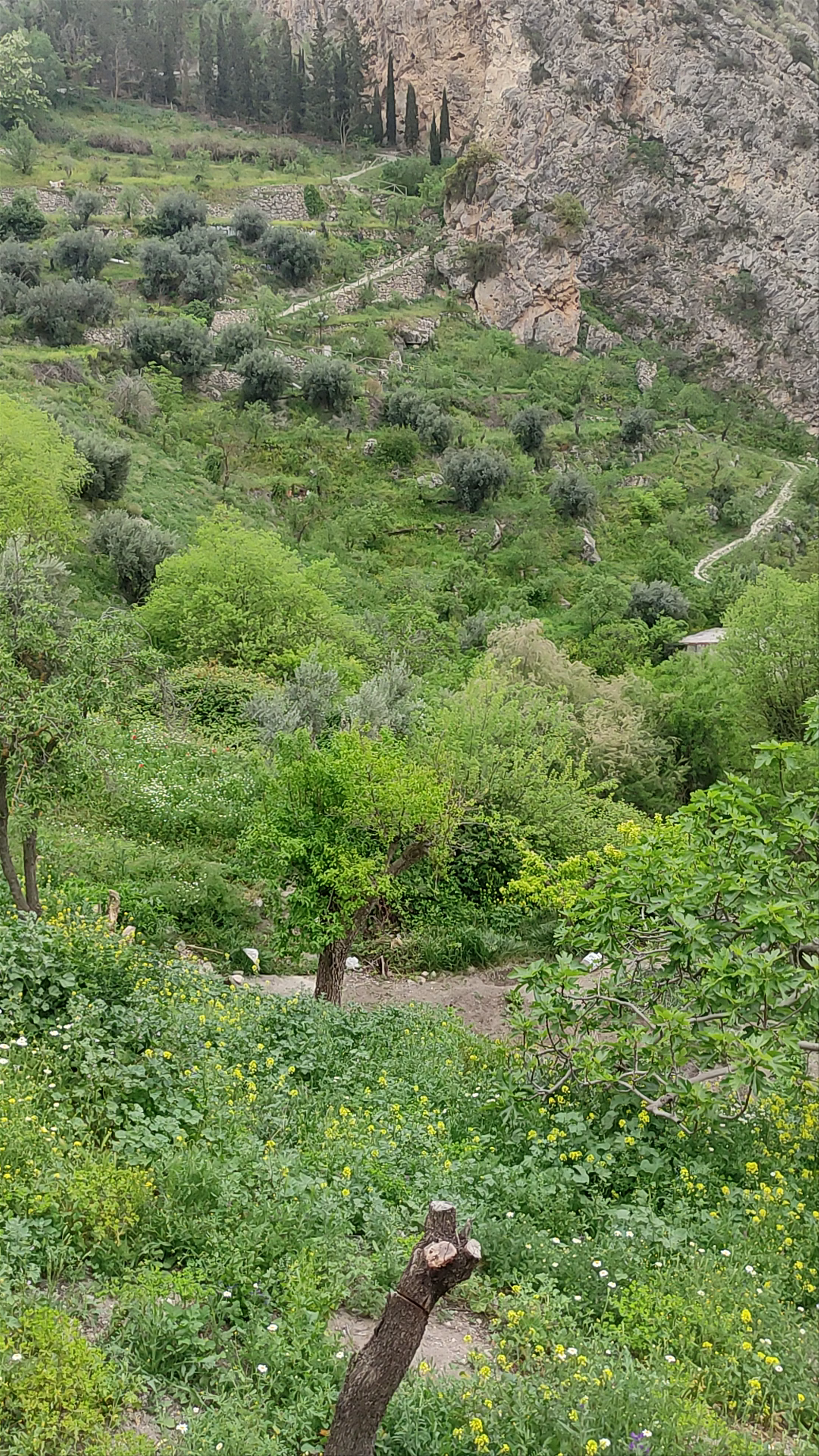 Monumento Natural Peña de Castril: A Verdant Oasis in Andalucía