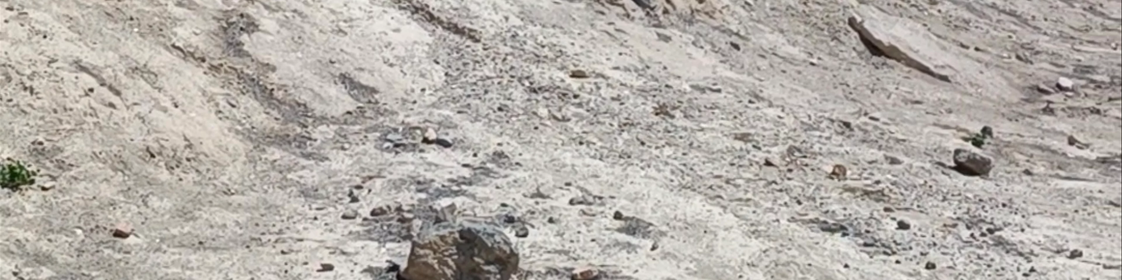 Gredas de Bolnuevo