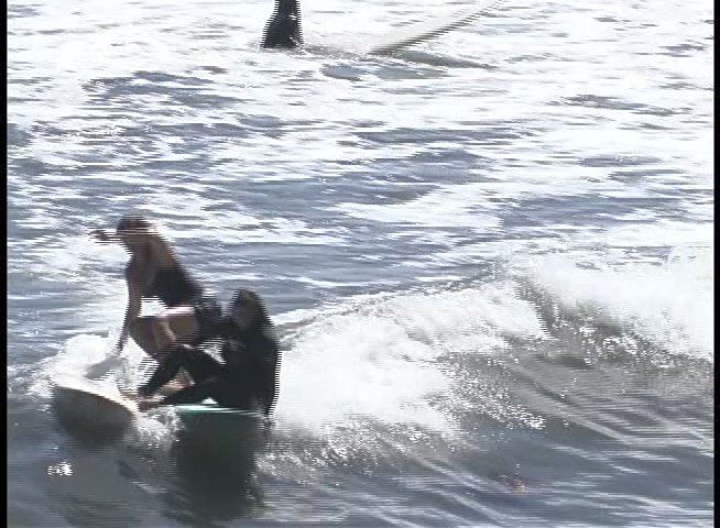 Multiple surfers ride breaking waves along a coastline in wetsuits, showcasing various maneuvers and ocean navigation skills.