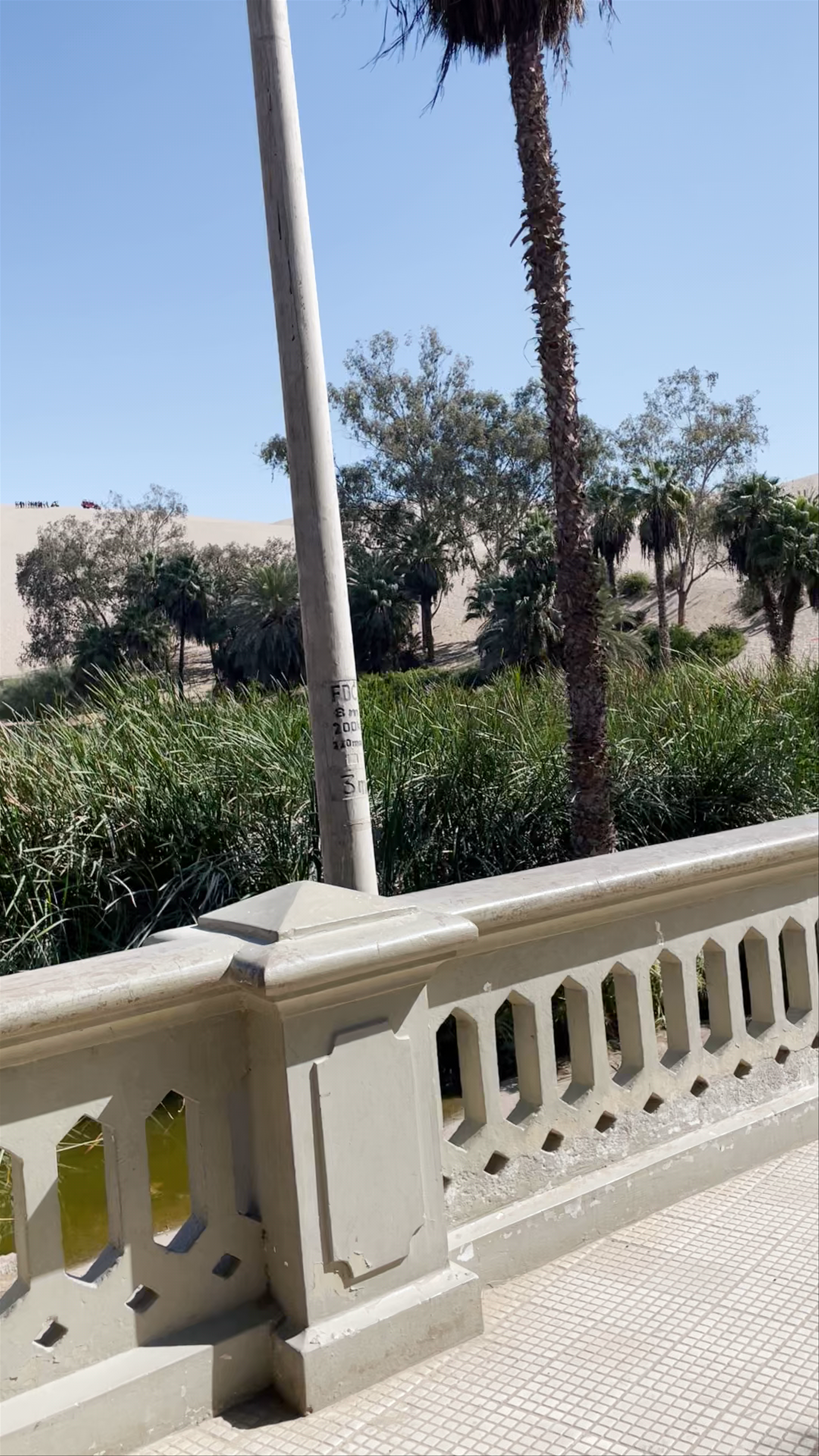 Huacachina Lagoon Reserved Zone