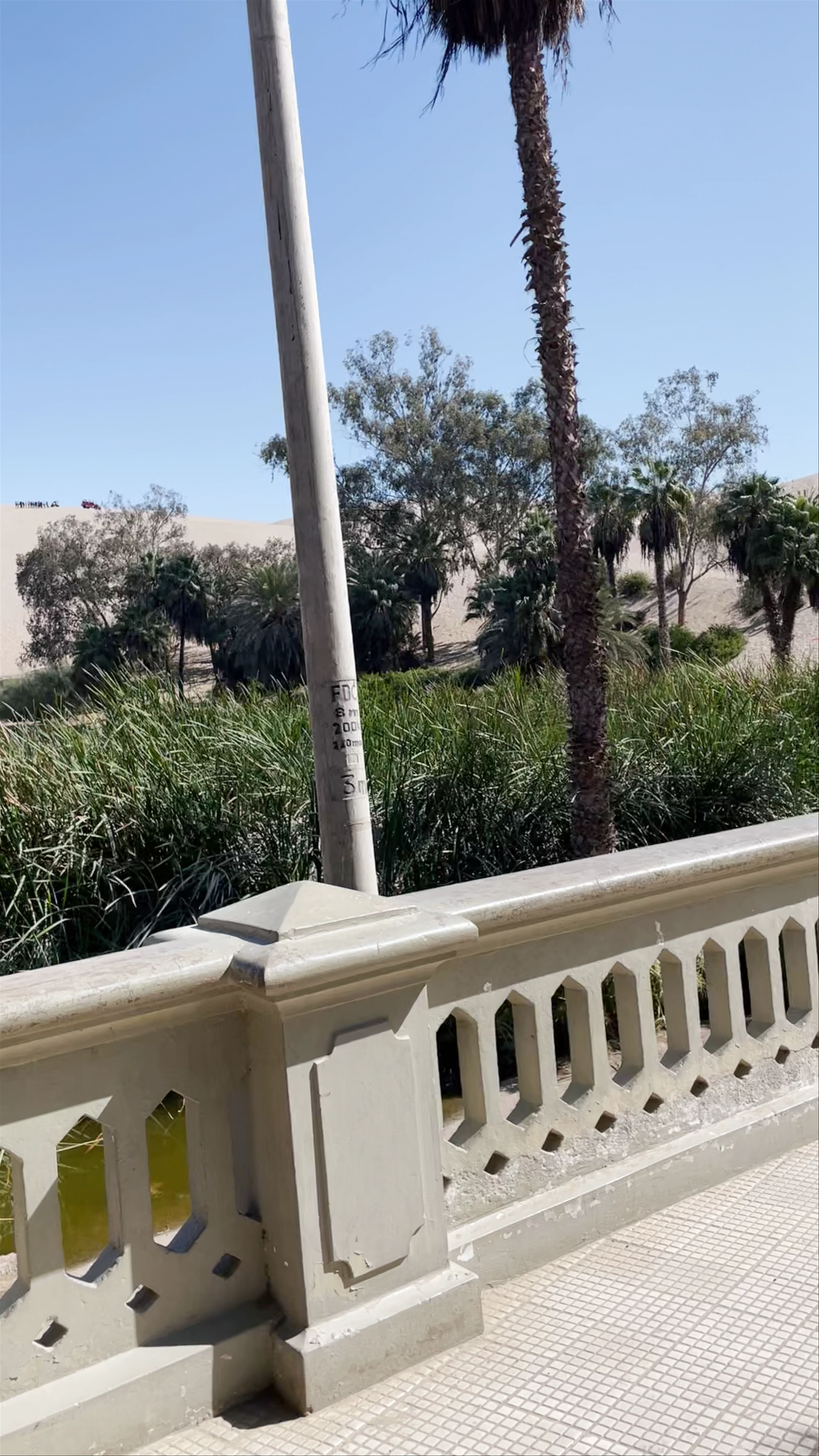 Huacachina Lagoon Reserved Zone