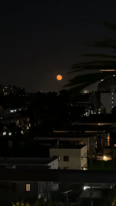 Videre - Great viewing for the full moon. - Bars Near Me - Los Angeles, California