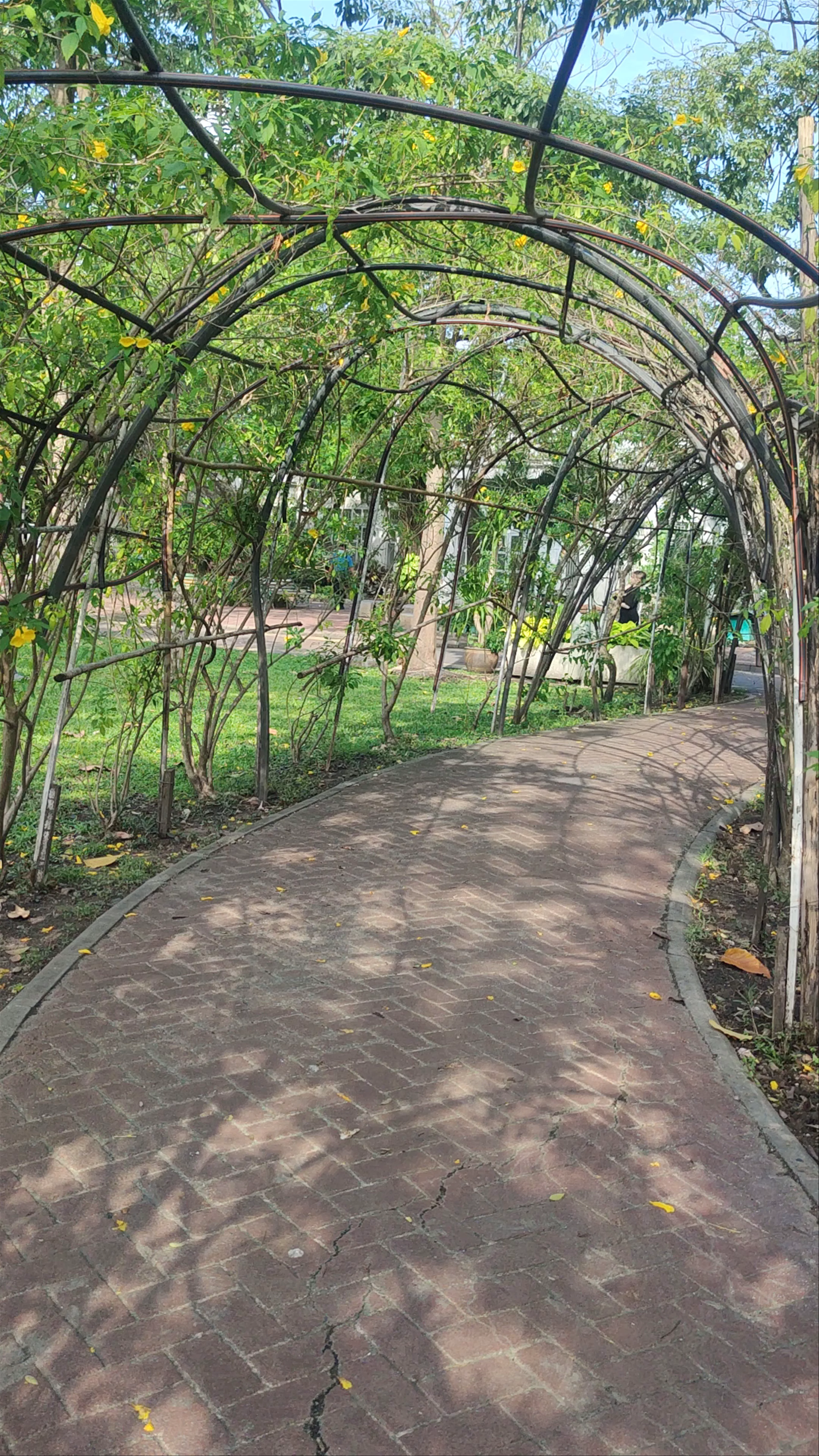 Saranrom Palace Park