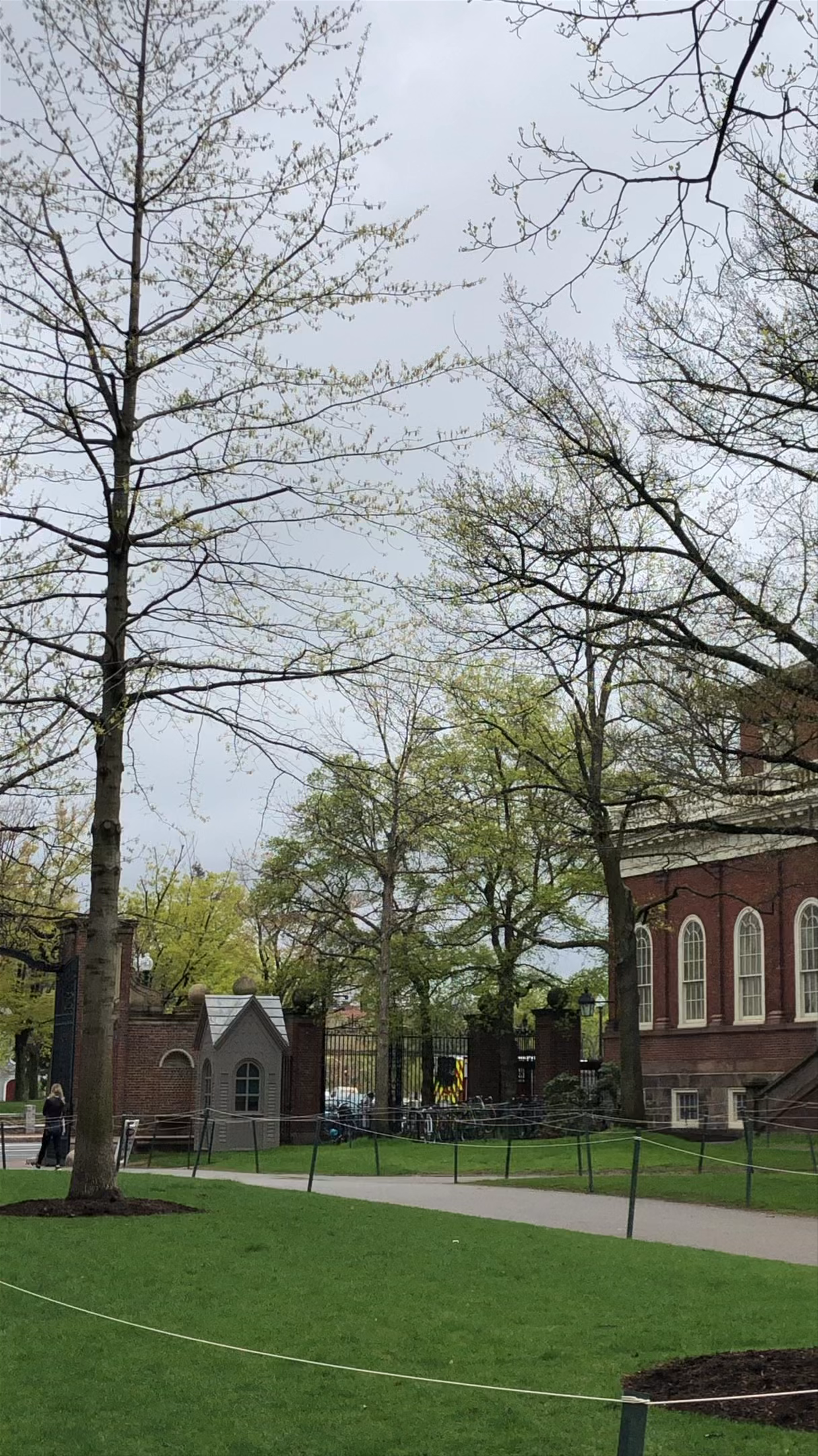 Harvard University: Historic Campus Walk in Cambridge, Massachusetts