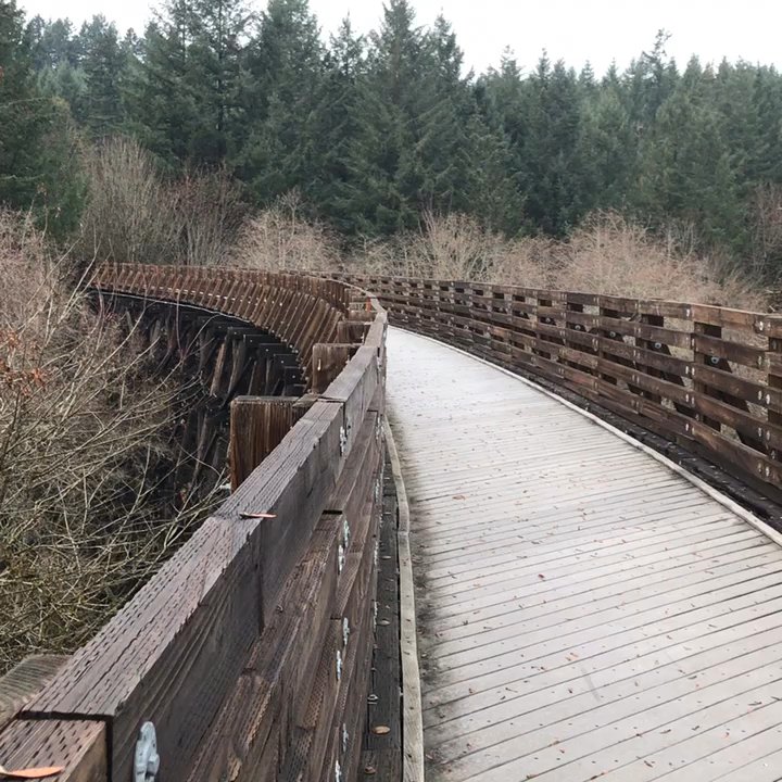 buxton woods - Disc Golf Near Me - Buxton, Oregon
