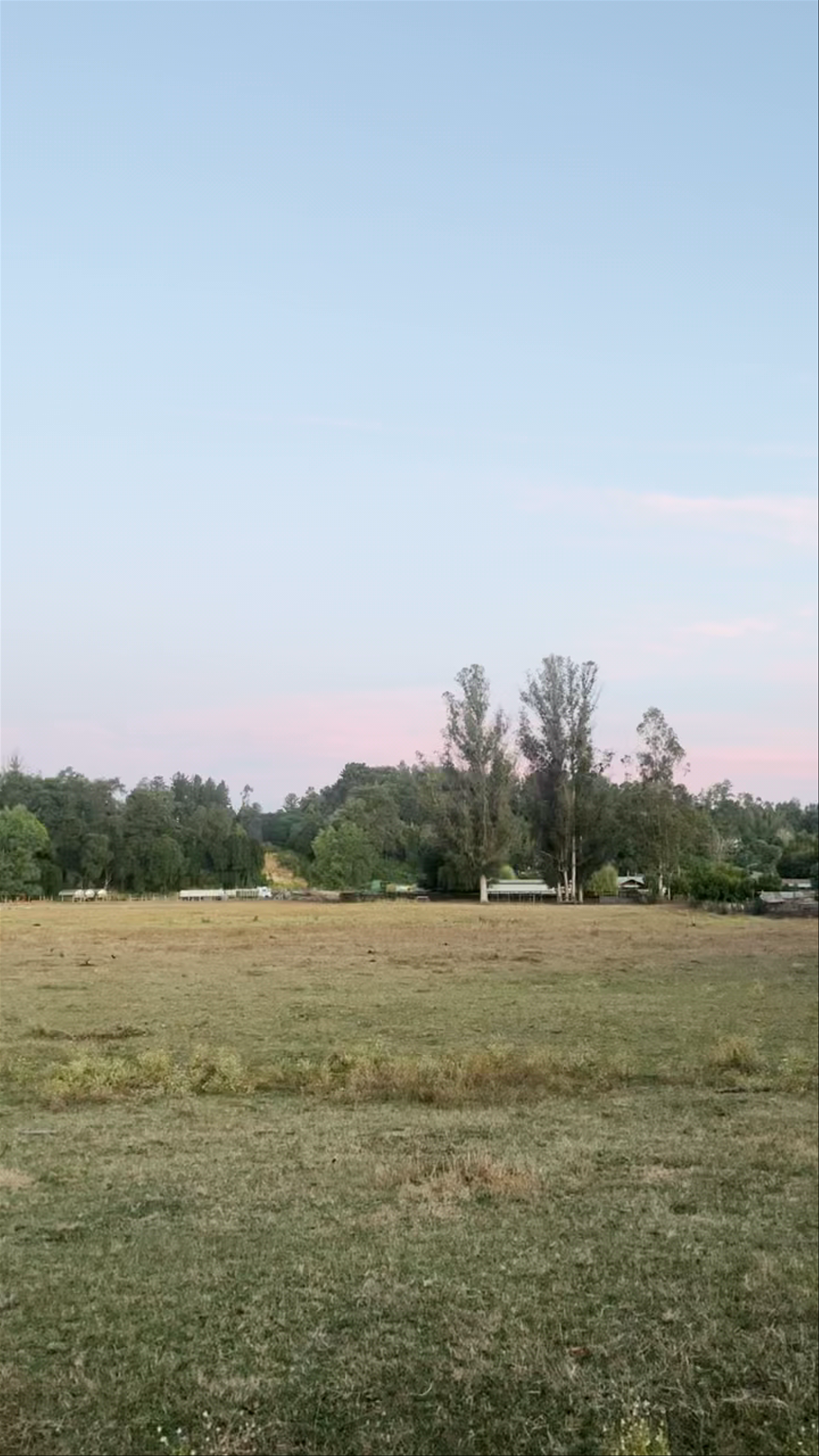 COIPÚE - Camino Público