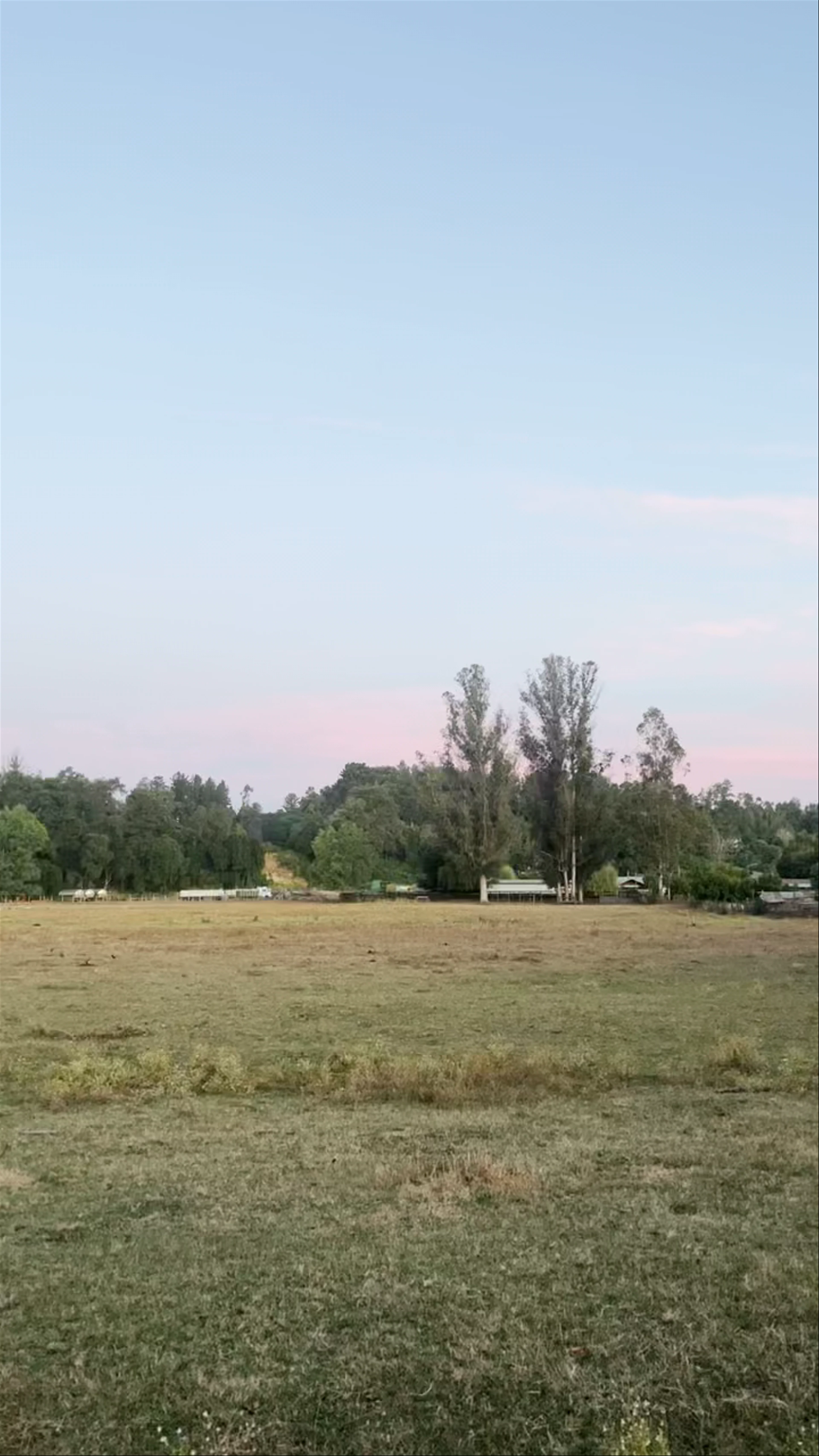COIPÚE - Camino Público, Ingreso a - Ruta 199
