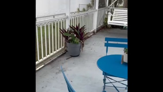 Listing photo-2