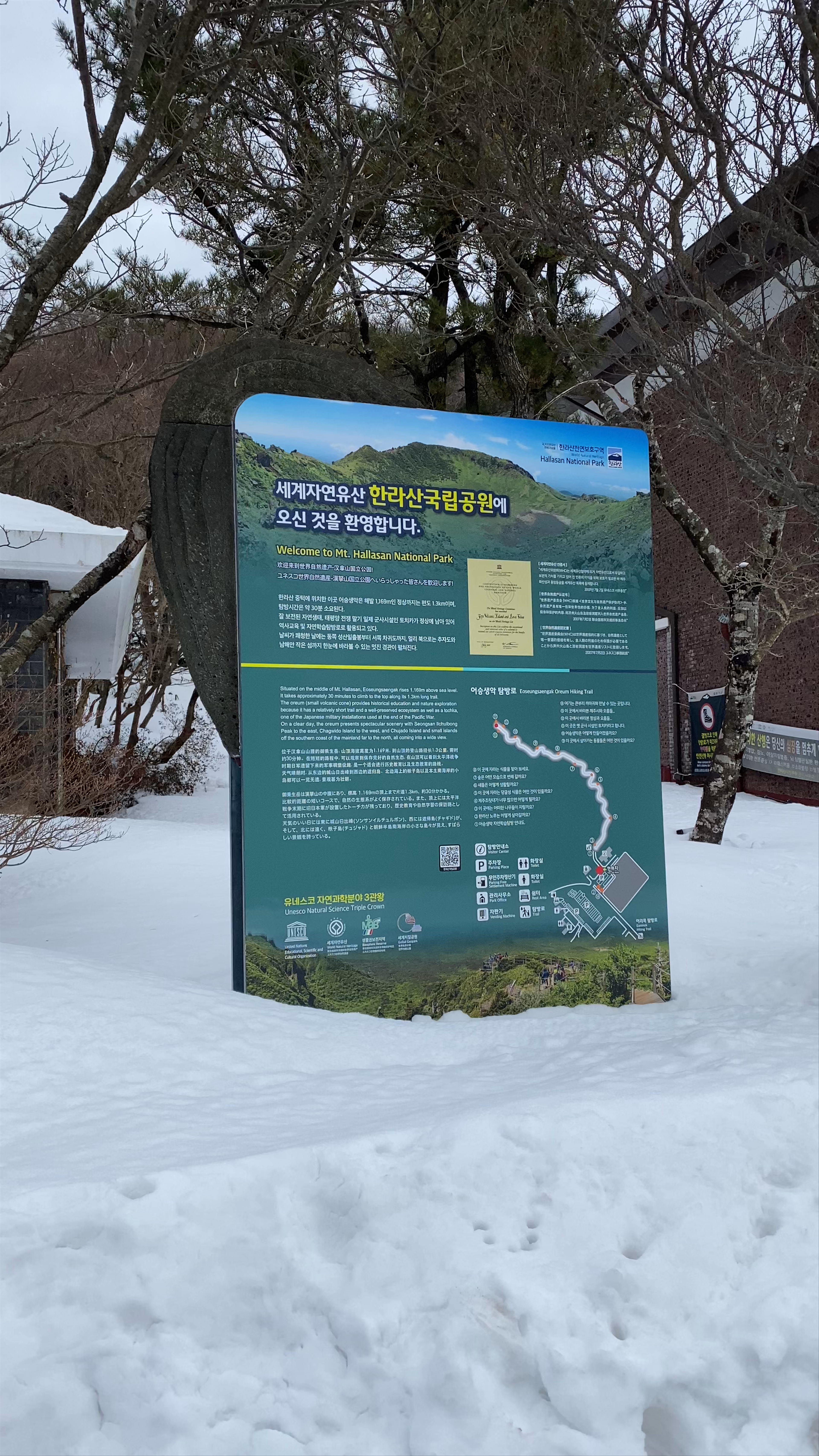 Winter Wonders at Hallasan National Park, Jeju Island