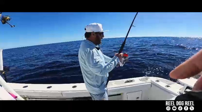 ReelDogReel Teaser Video