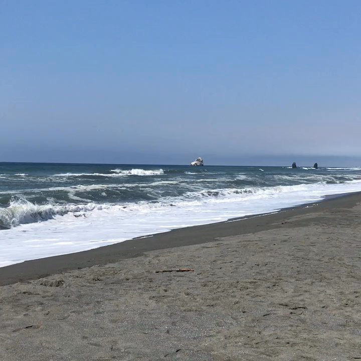 Gold Bluffs Beach & Campground - Really pretty beach! - Campgrounds Near Me - Orick, California