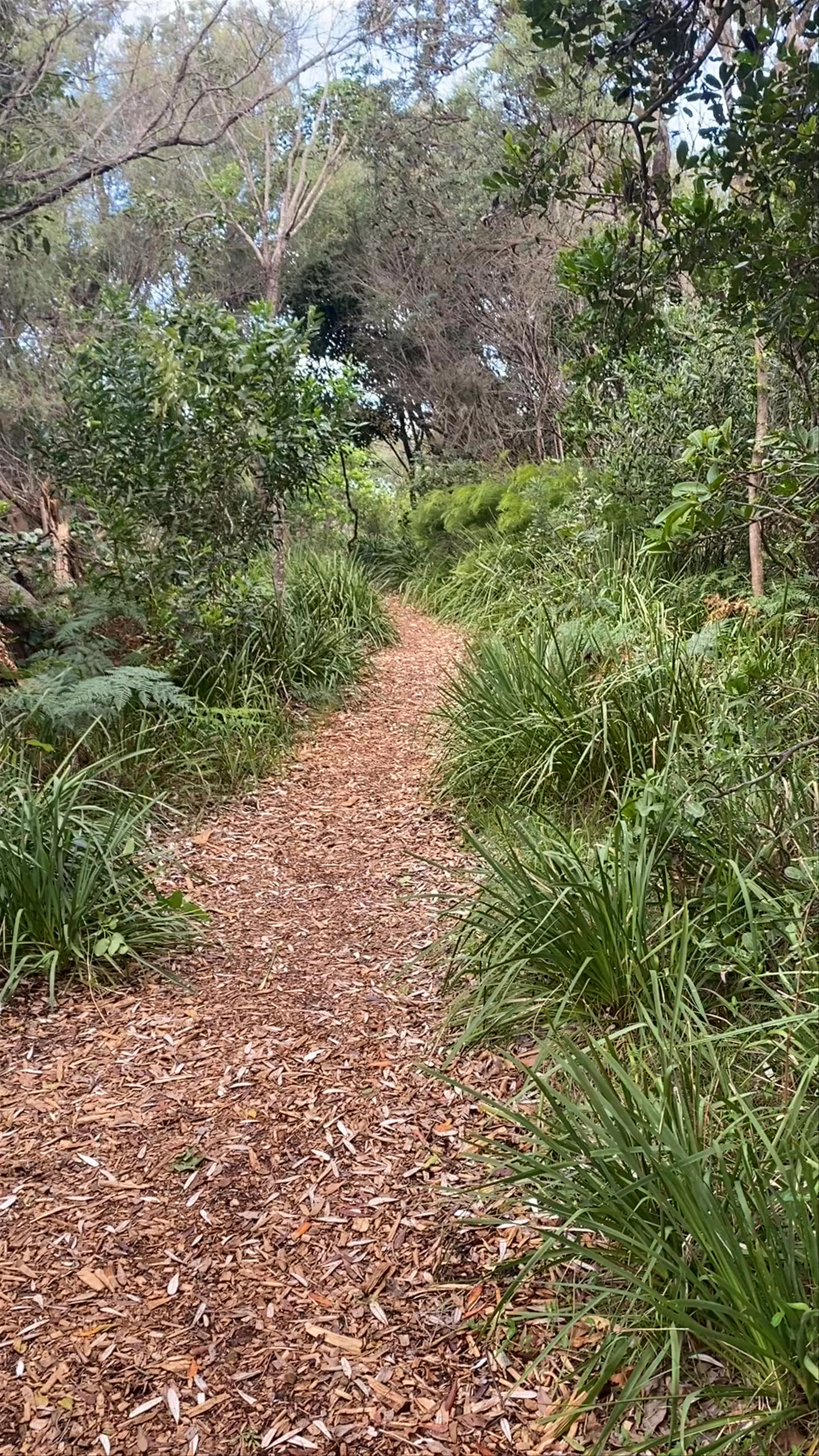 Norah Head Nature Trail