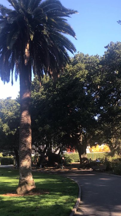 Central Park - Parks Near Me - San Mateo, California