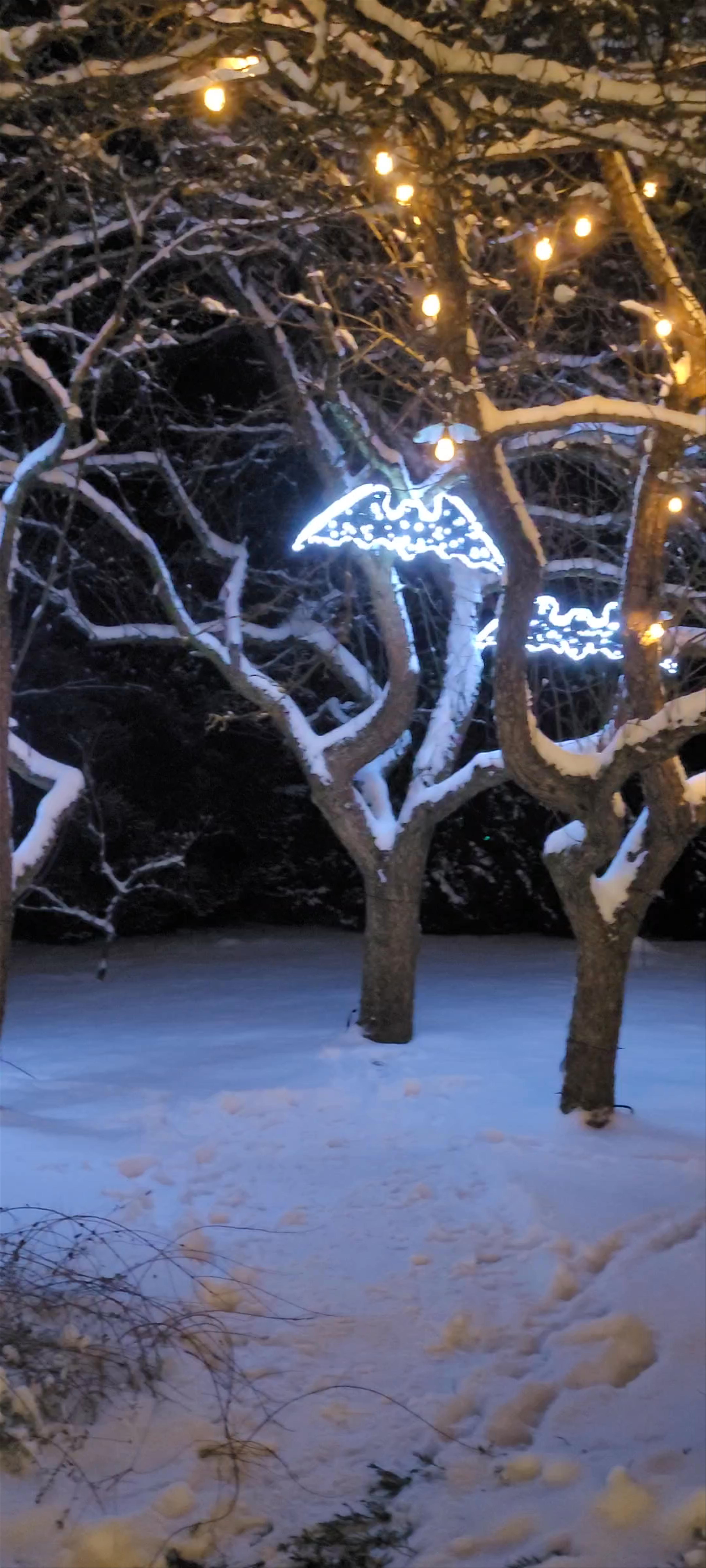 Lumina Park Lublin - Historia Światła