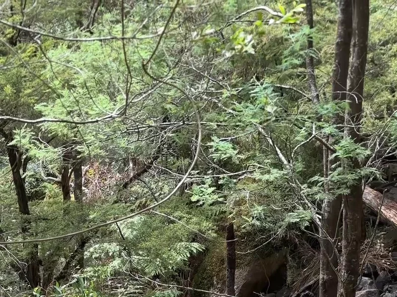 Family adventure vlog
