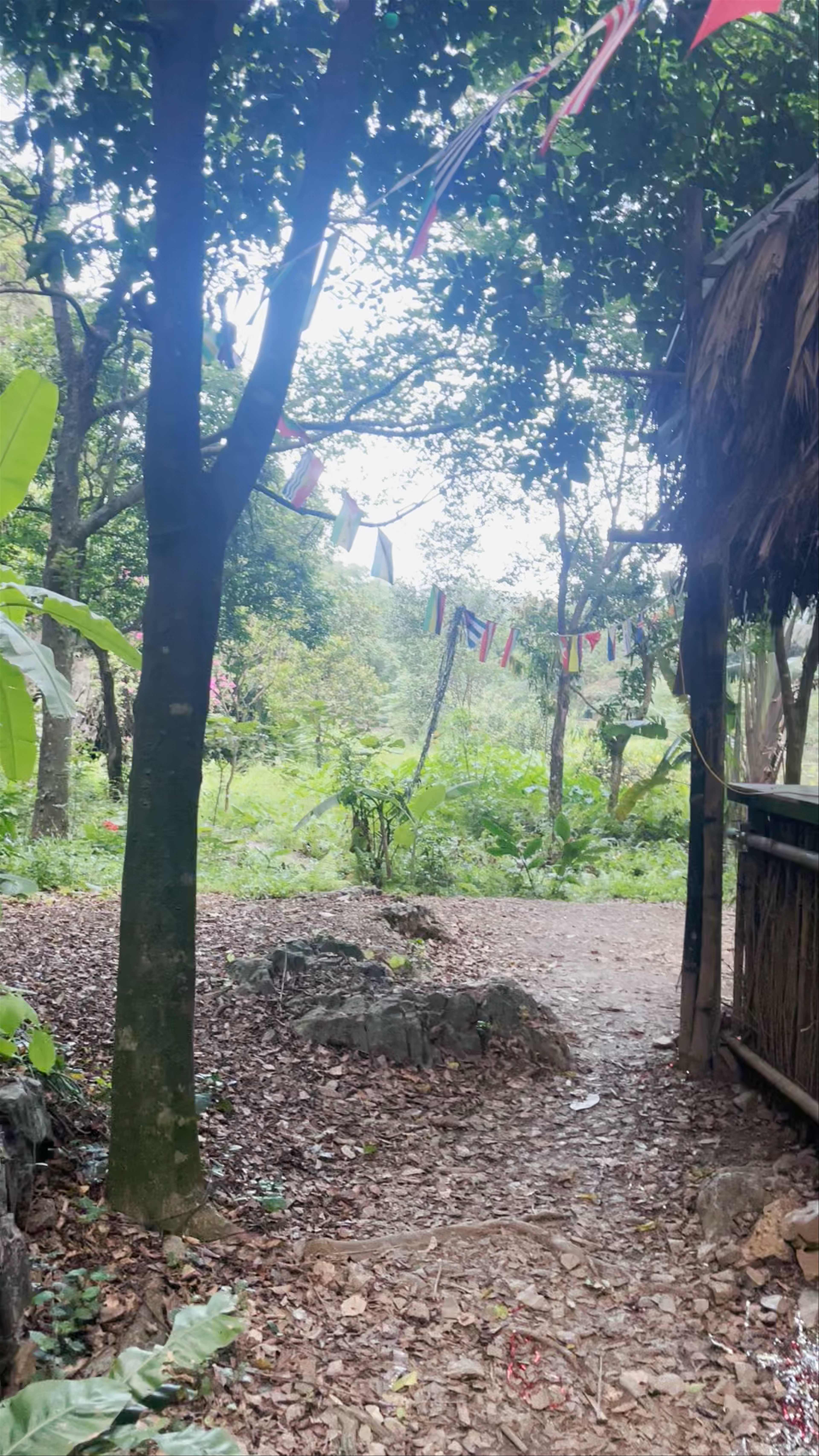 Thung Sen Tam Coc Glamping & Restaurant
