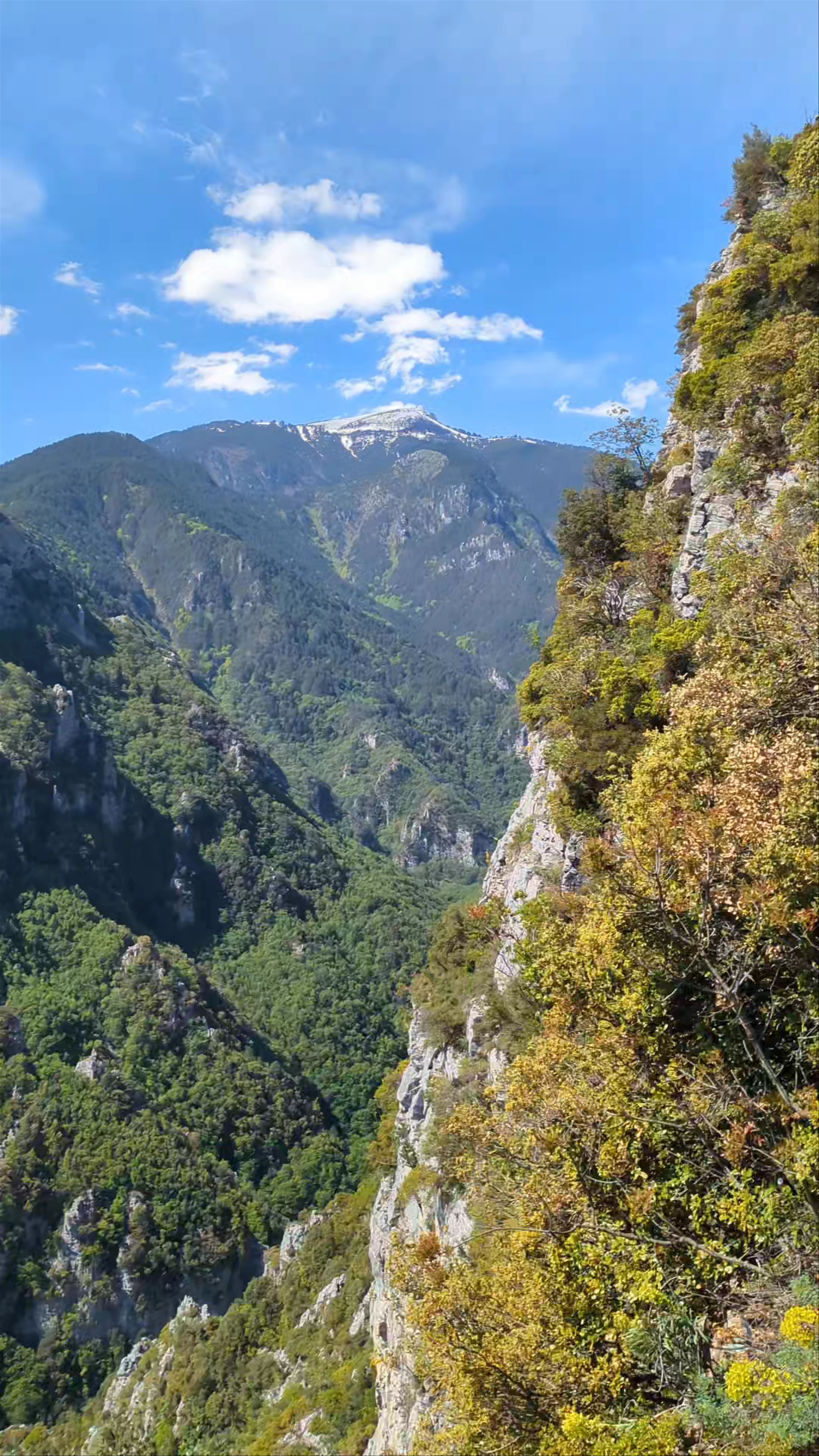 Zilnia Forest Site