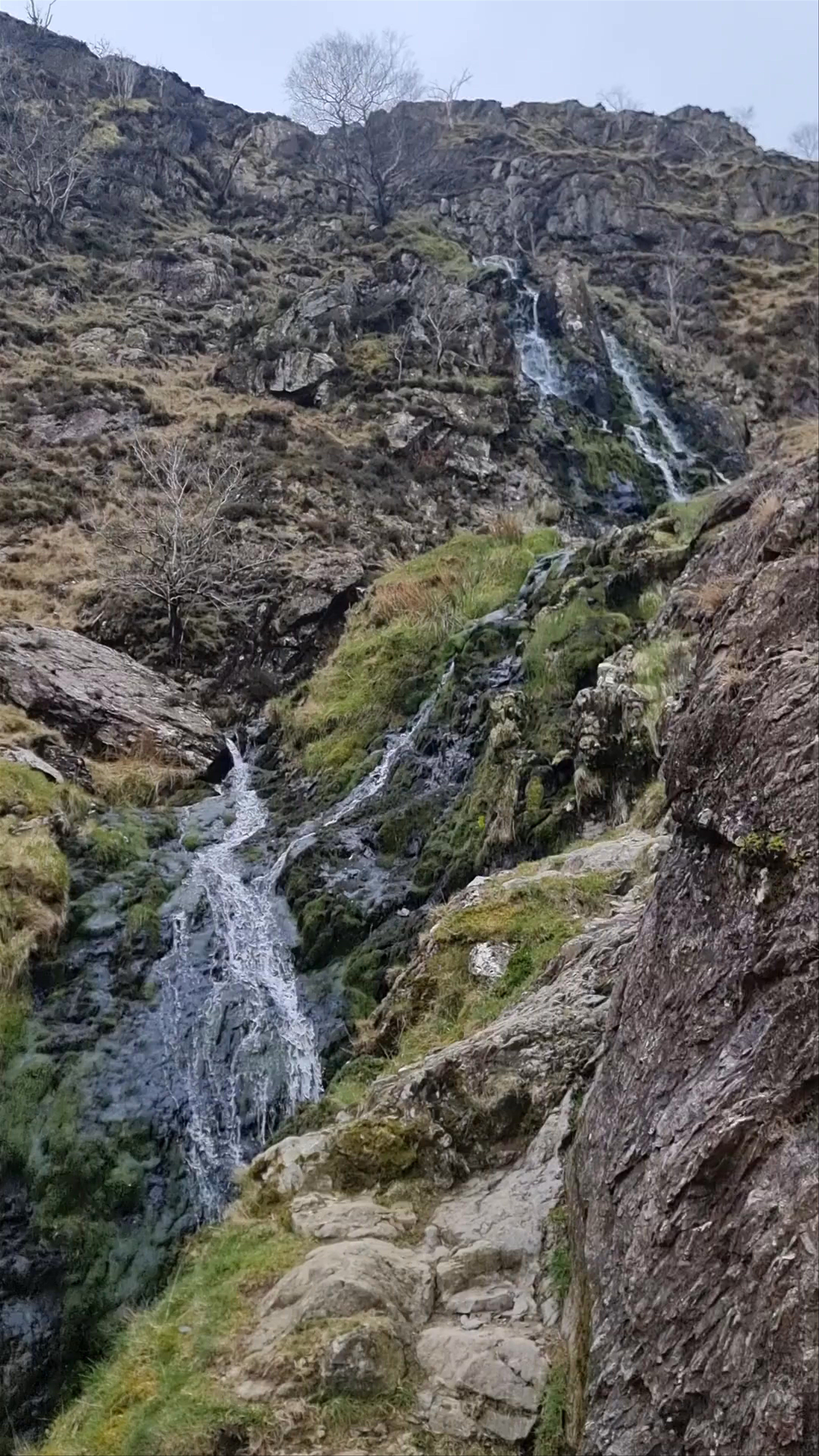 Keswick Tourism Association