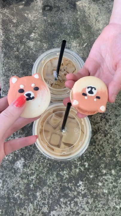 Around Cafe - corgi macaroons - Bubble Tea Near Me - Arlington Heights, Illinois