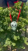 Small image 5