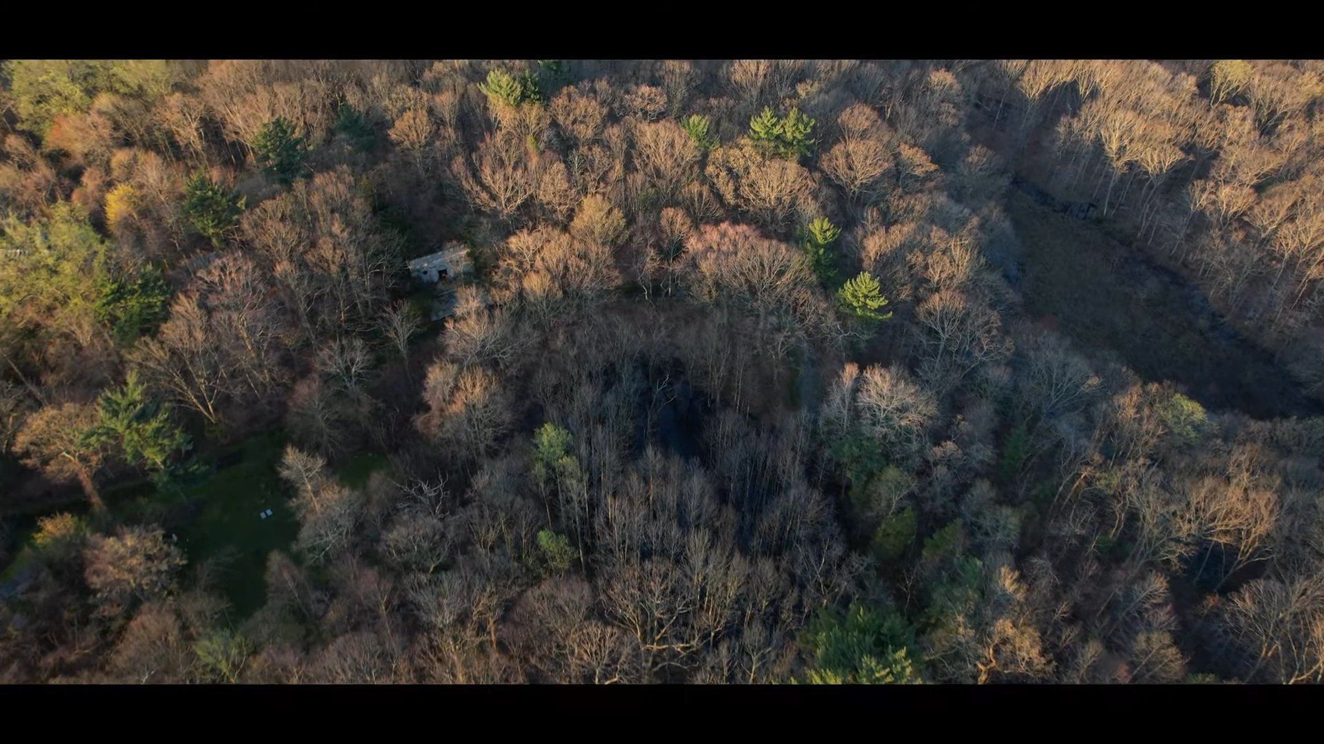 Portfolio clip by Heni A., Brooklyn videographer