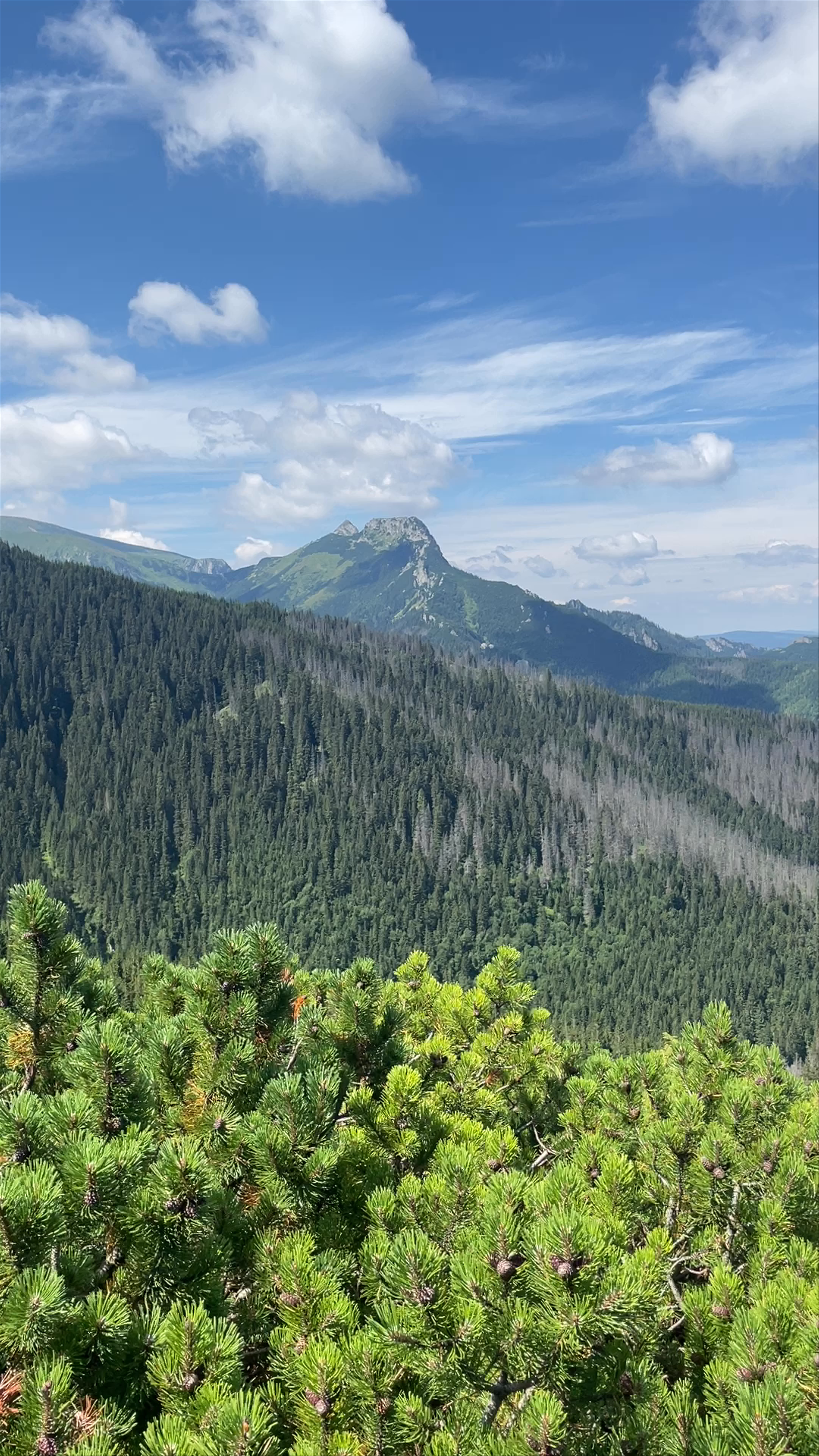 Breathtaking Mountain Views in Tatra National Park, Zakopane, Poland