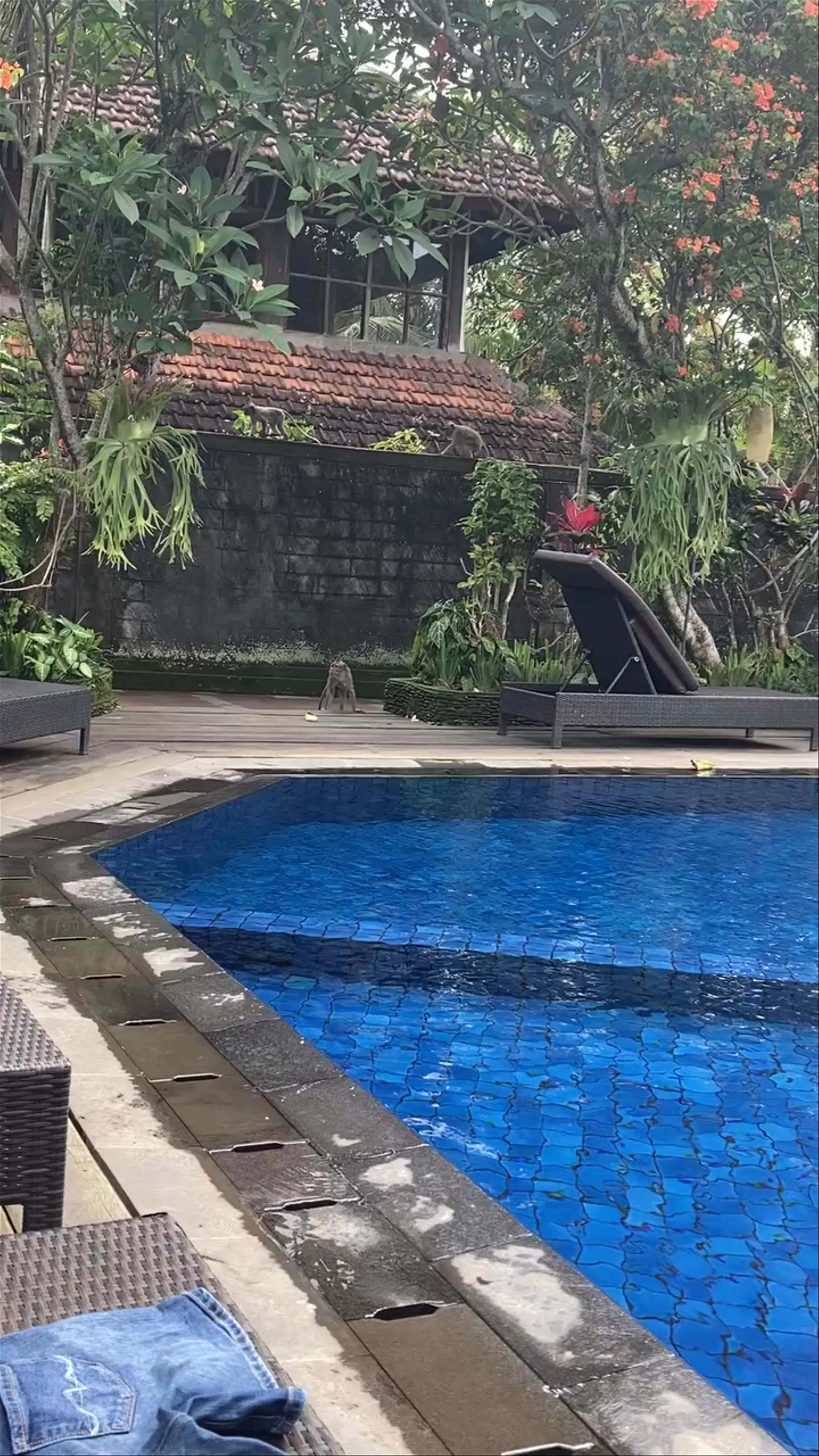 Ubud Bungalows
