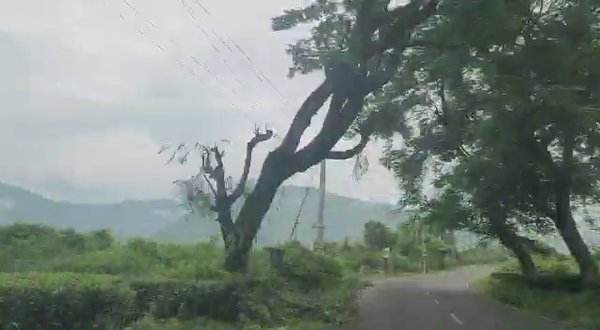 Photo of Experience these in 